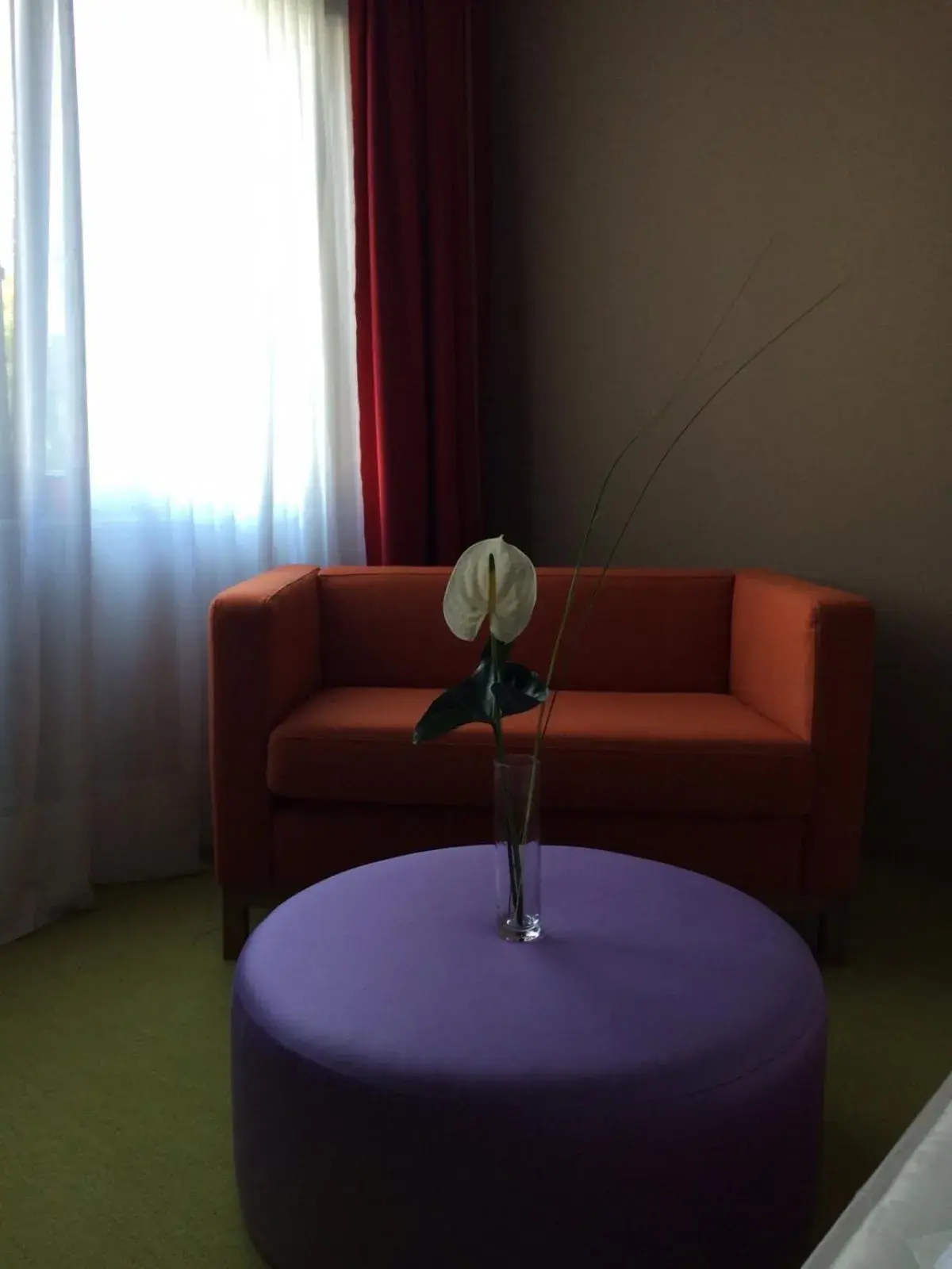 Single Room in Schurwald Hotel Single Room in Schurwald Hotel