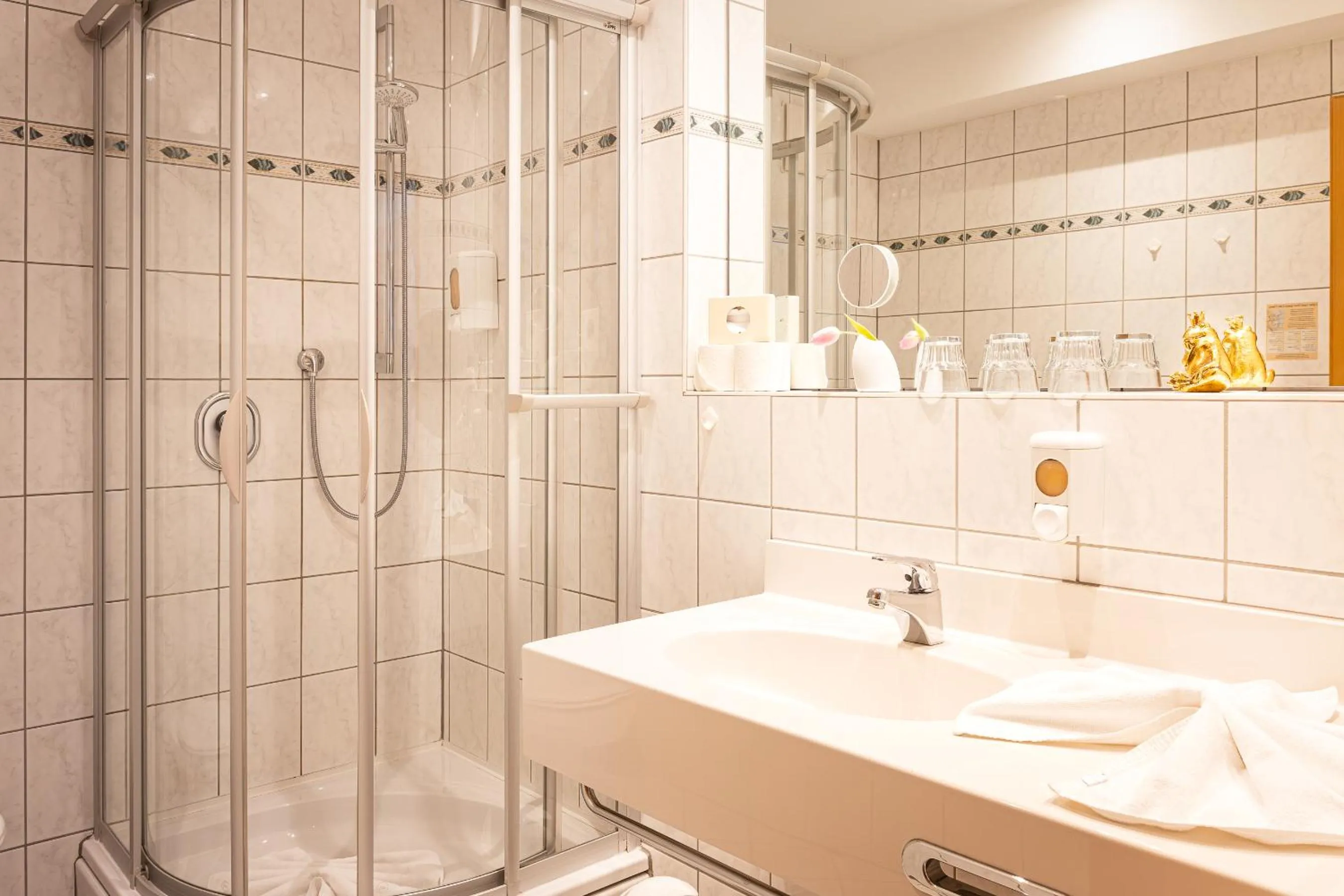 Shower in Hotel Aulmann