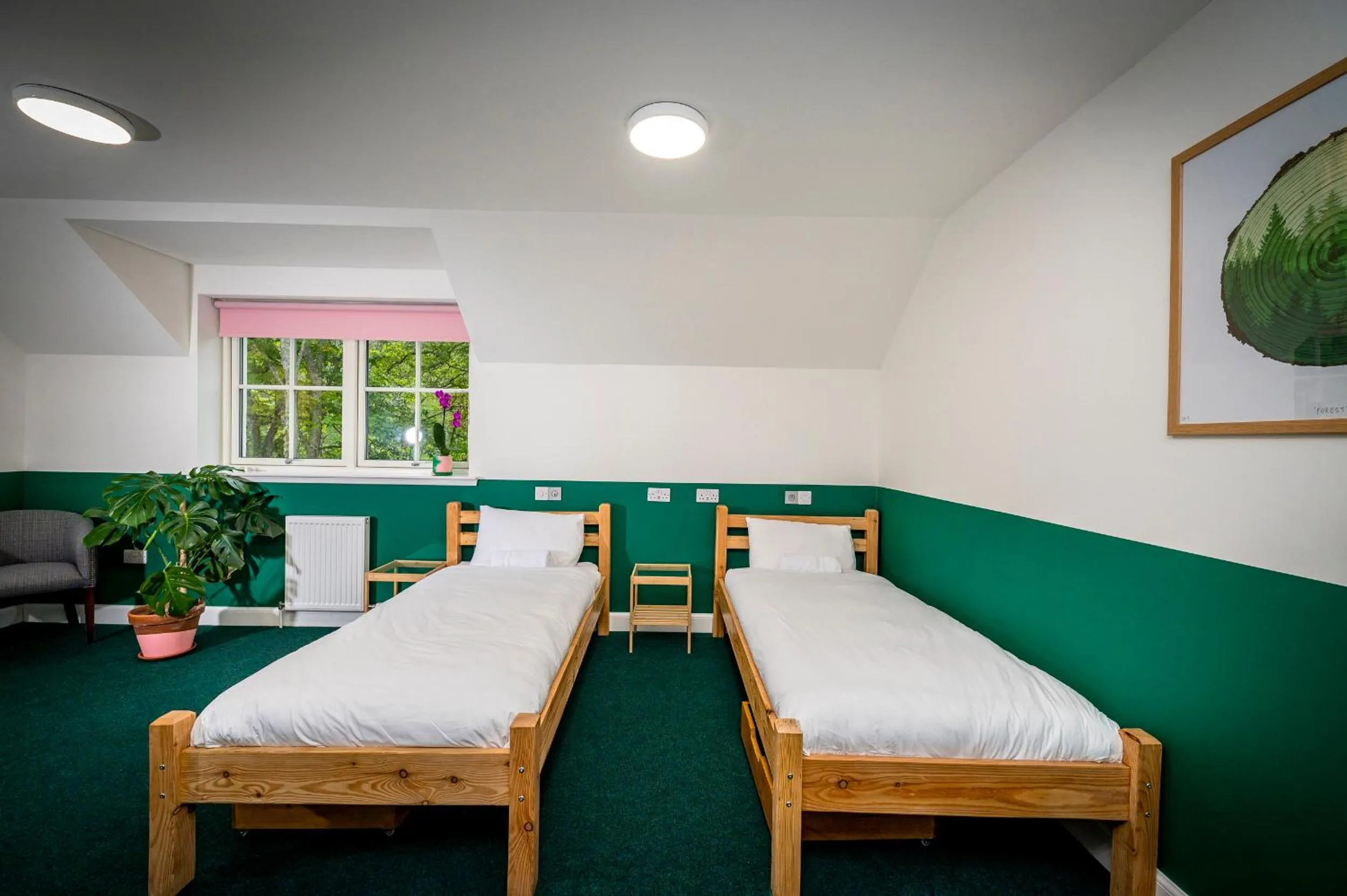 Bed in Loch Ness Bunk Inn