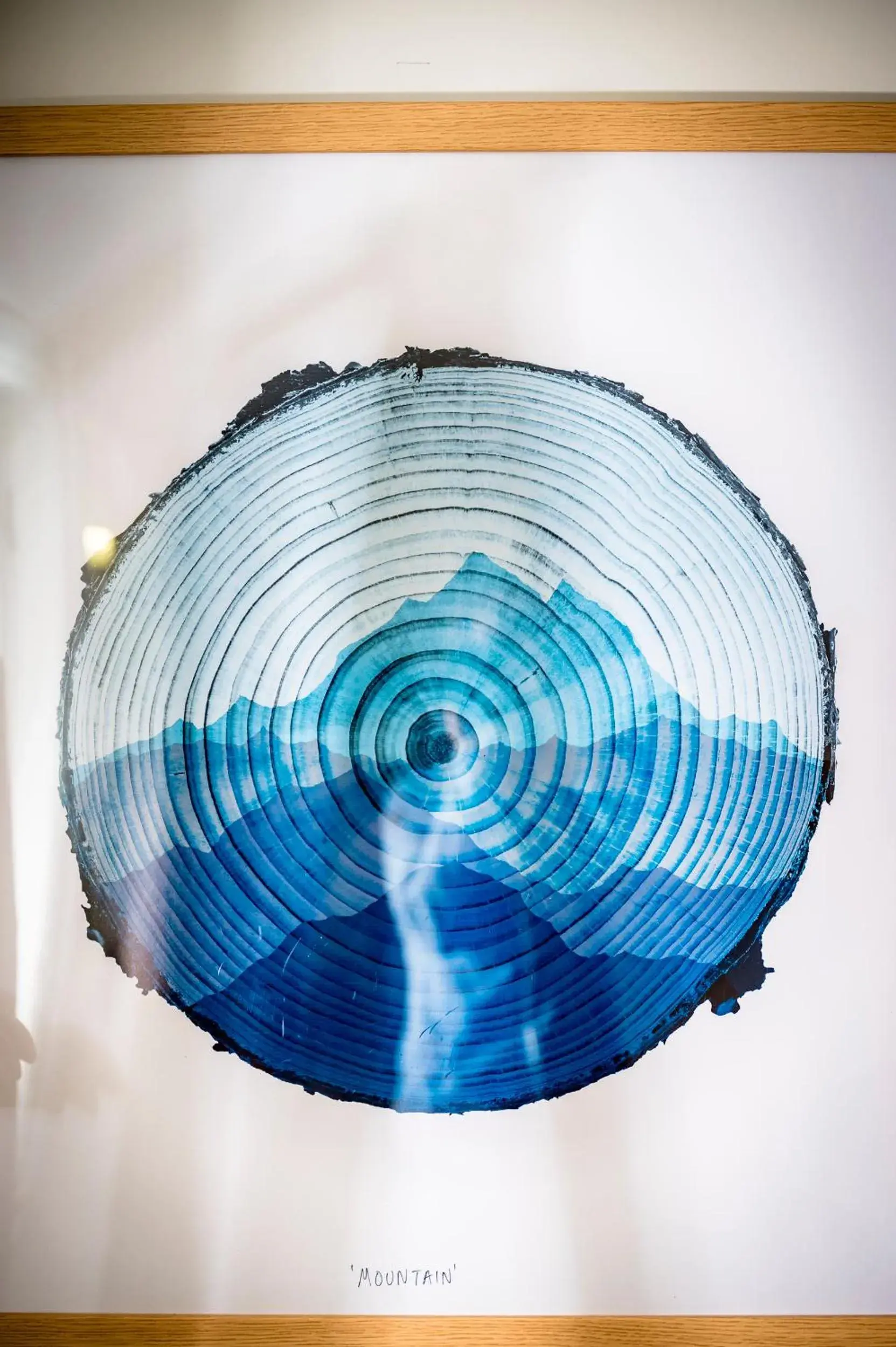 Bed in 4-Bed Mixed Dormitory Room in Loch Ness Bunk Inn Bed in 4-Bed Mixed Dormitory Room in Loch Ness Bunk Inn