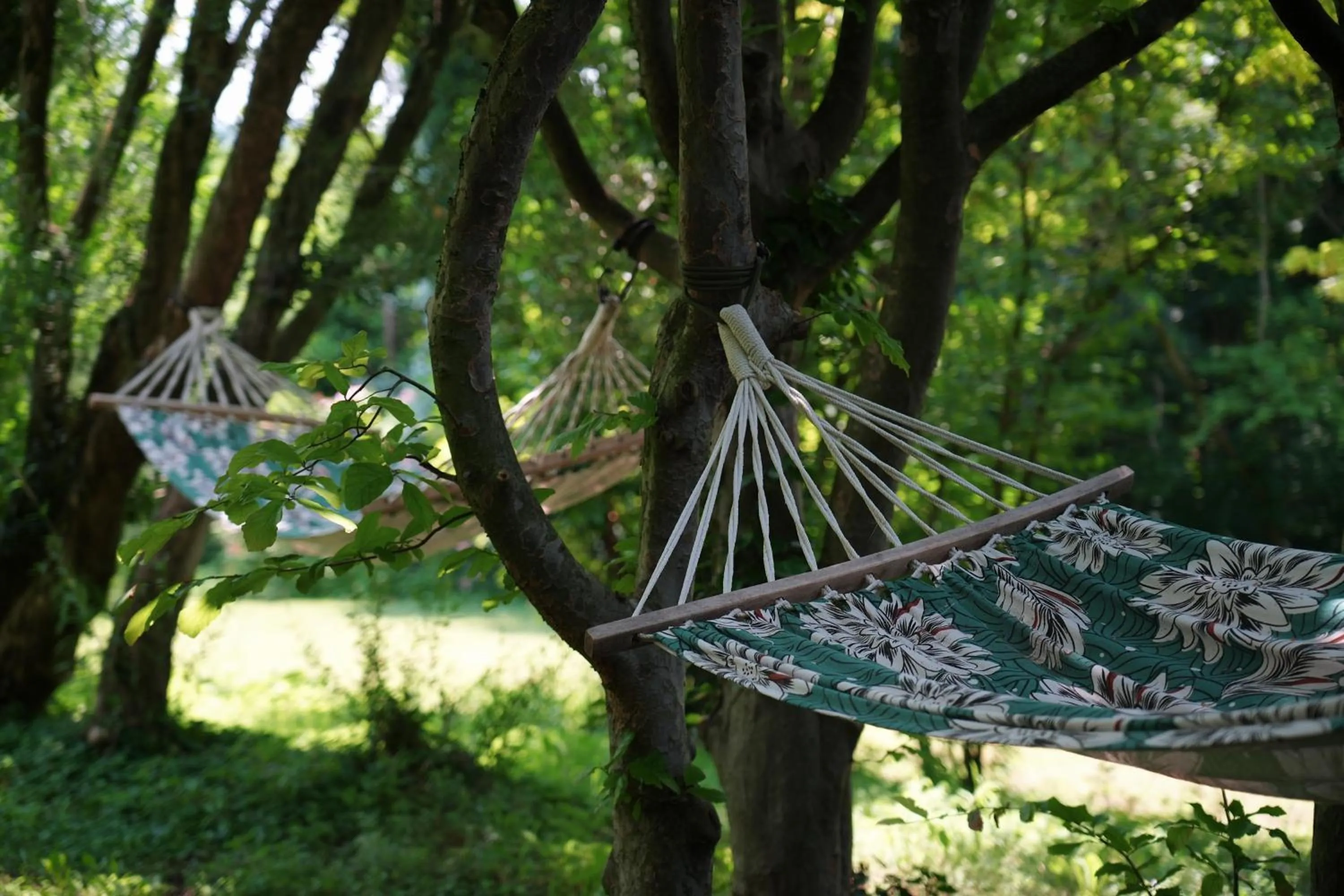 Garden in Relais Villa dei Gelsi & Spa