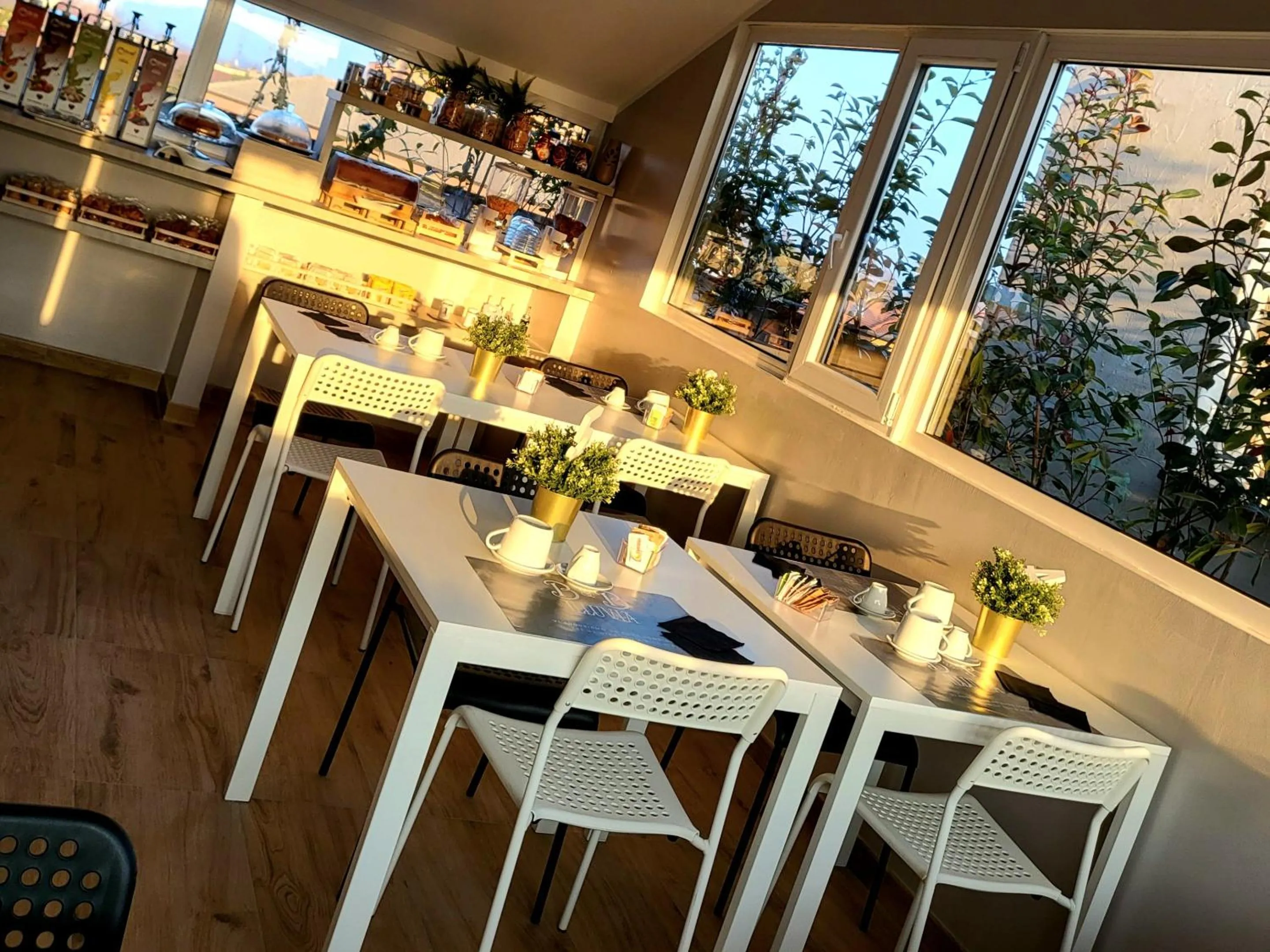 Breakfast in ILLUVIA affitto camere