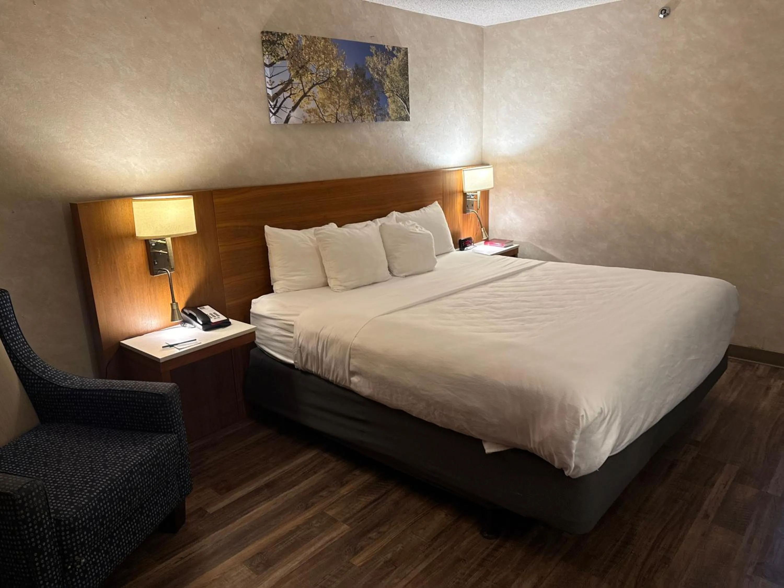 Photo of the whole room, Bed in Quality Inn and Conference Center Greeley Downtown