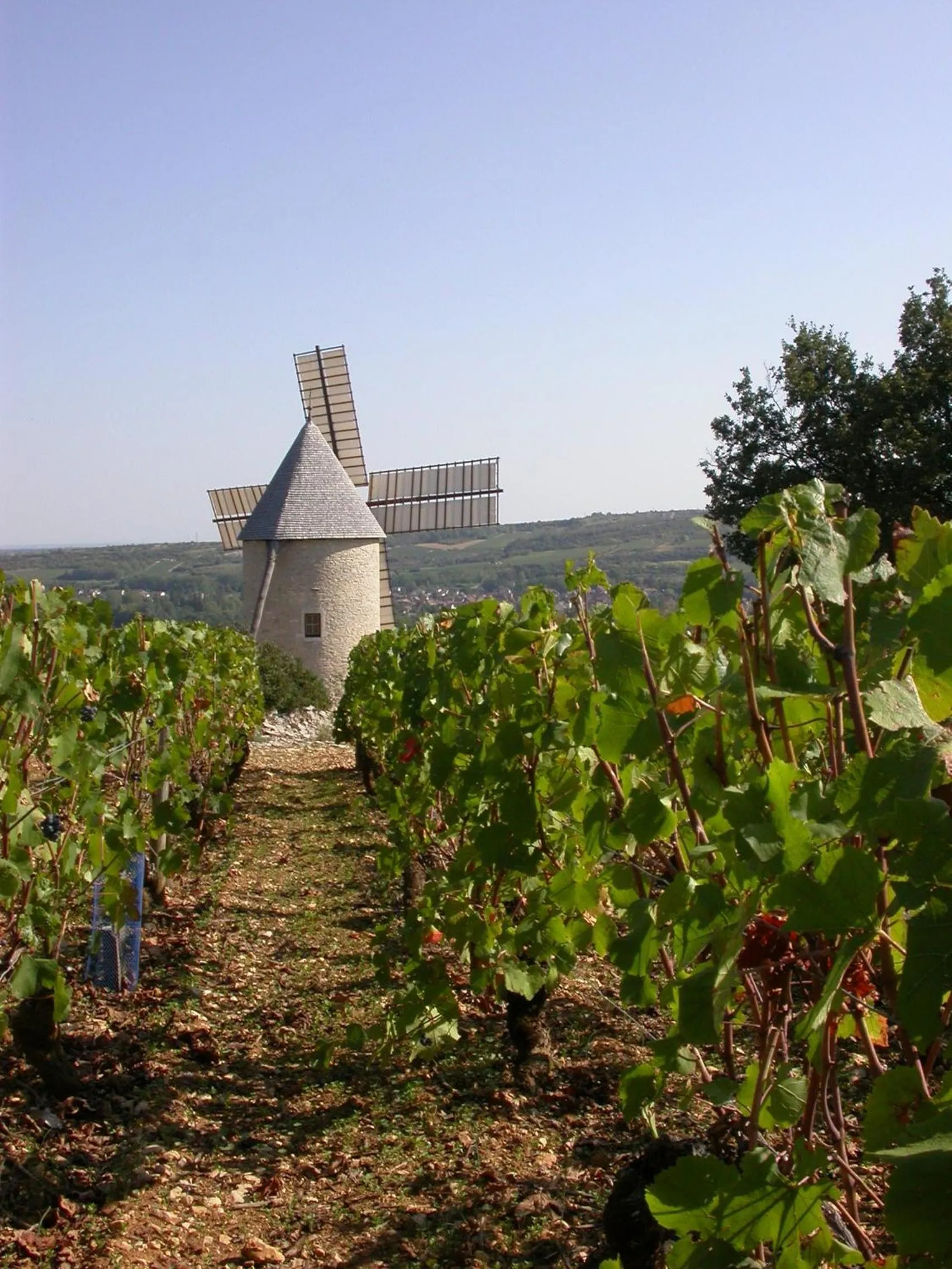Garden view in Villa Thermae Santenay