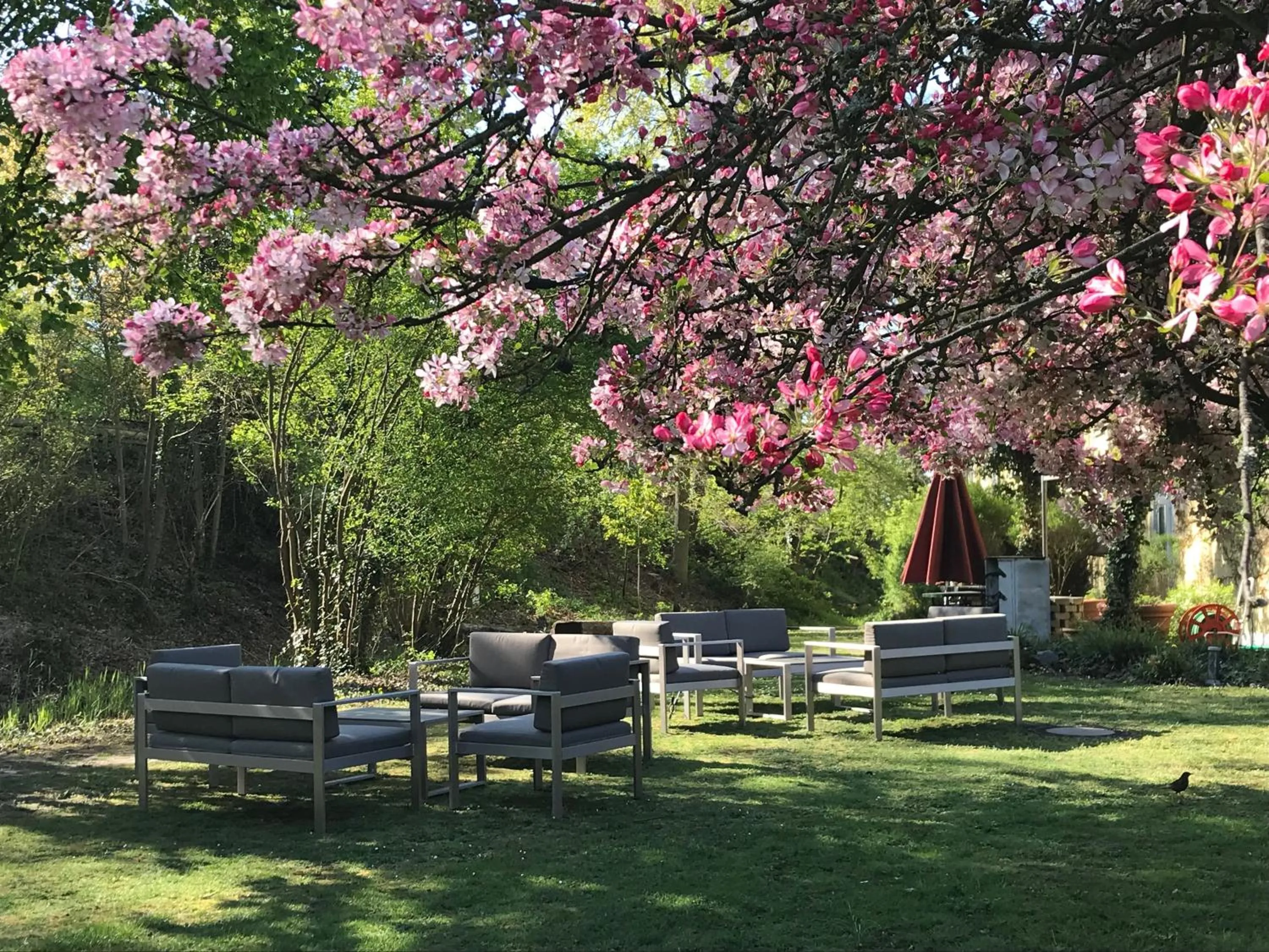 Garden view in MAXX by Steigenberger Deidesheim