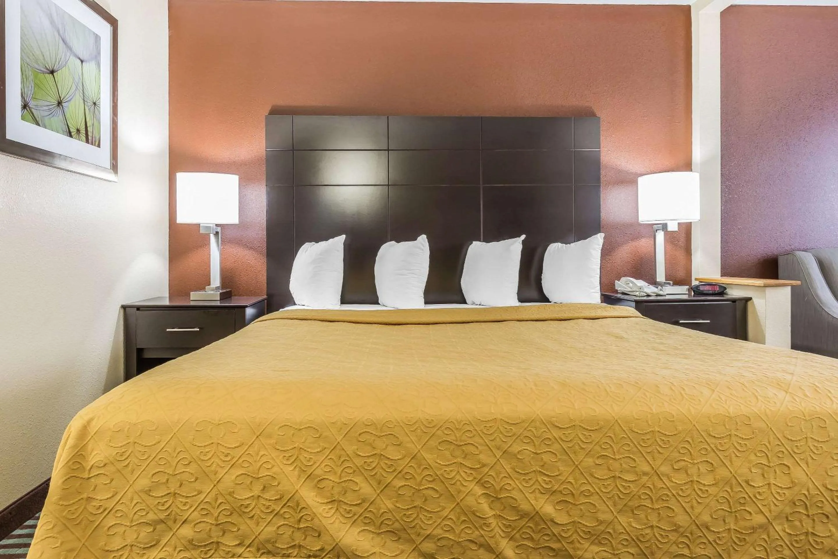 Photo of the whole room, Bed in Quality Inn Mount Vernon, IL