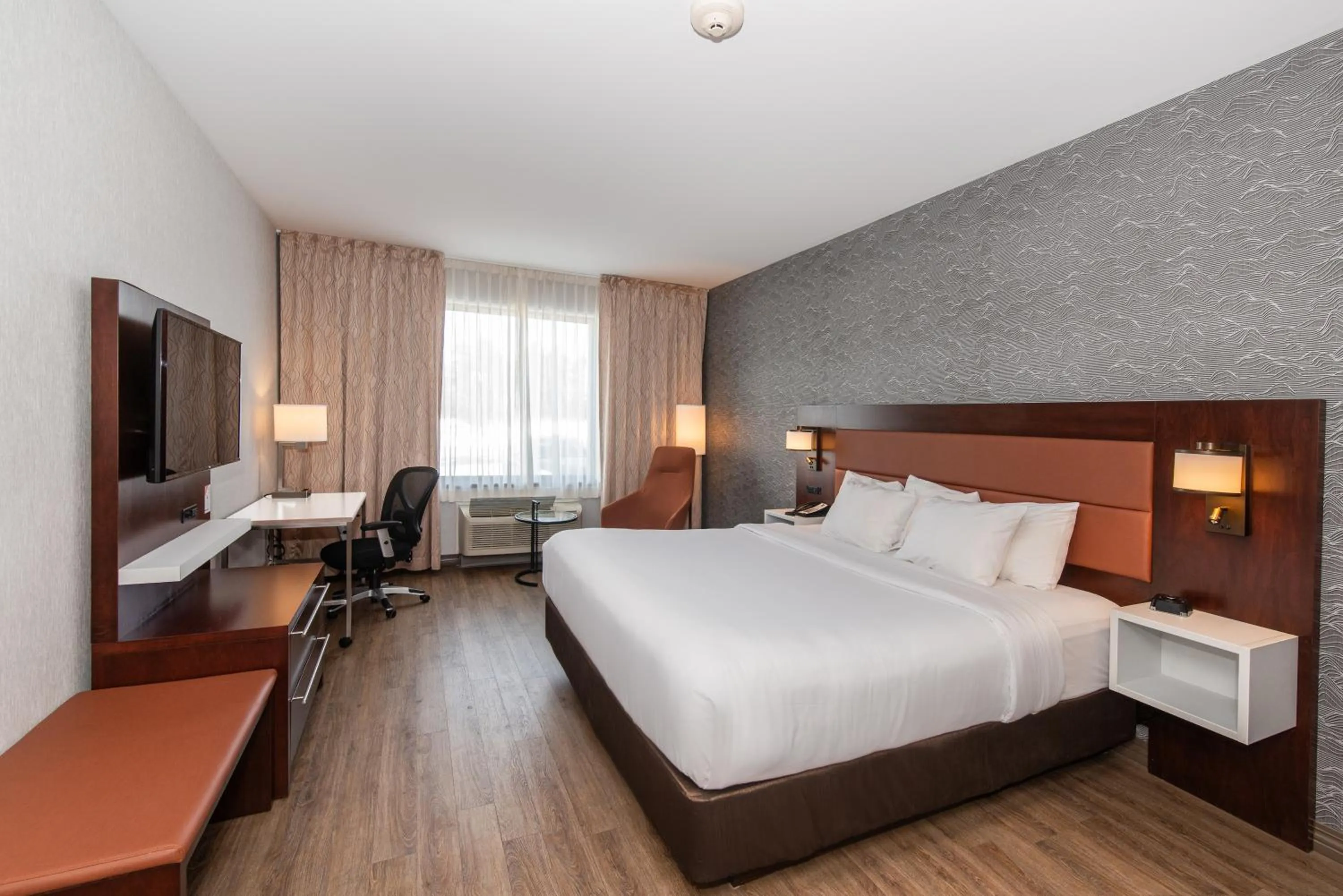 Photo of the whole room, Bed in Quality Inn & Suites