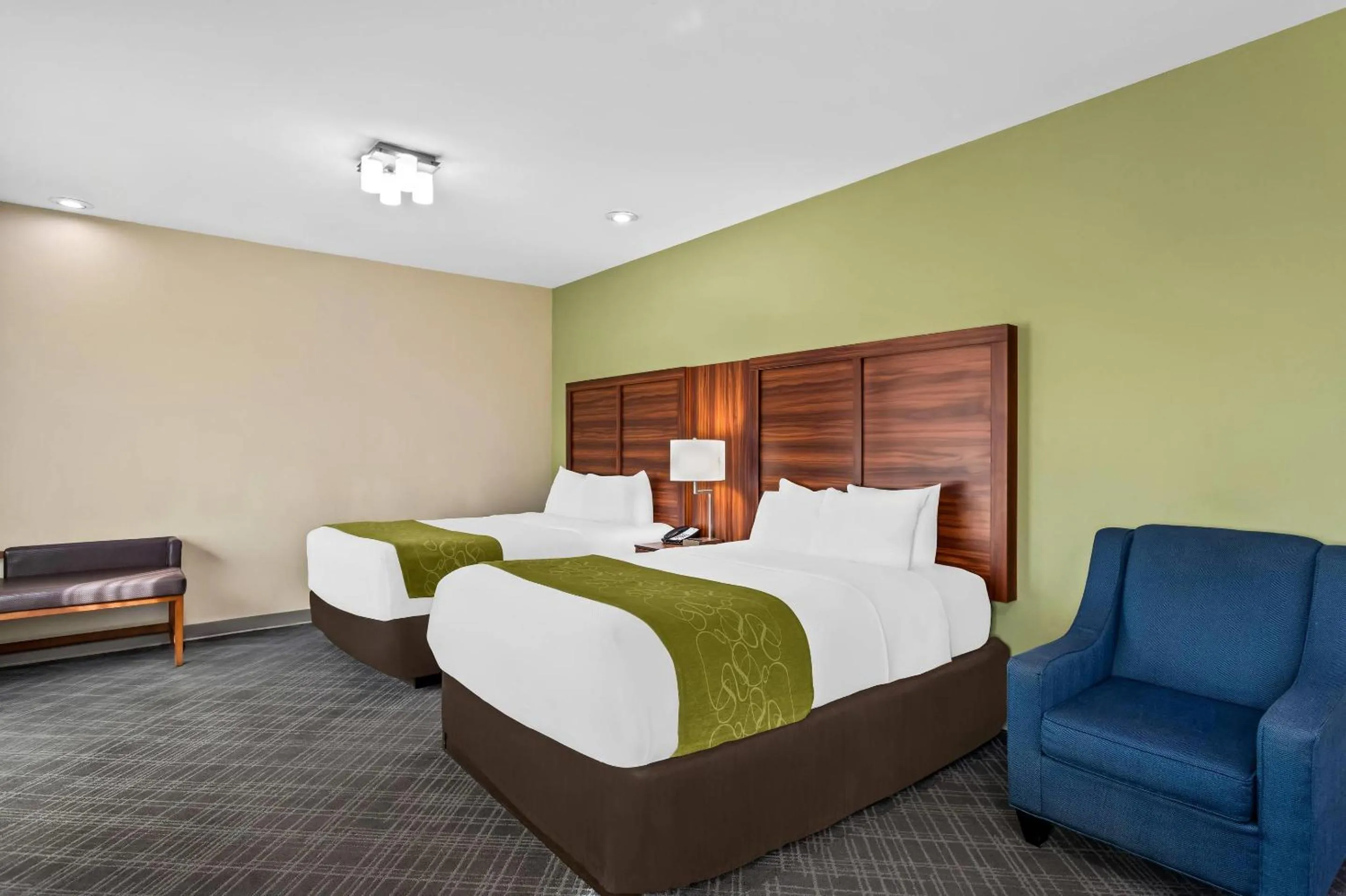 Bedroom, Bed in Comfort Suites Roswell North