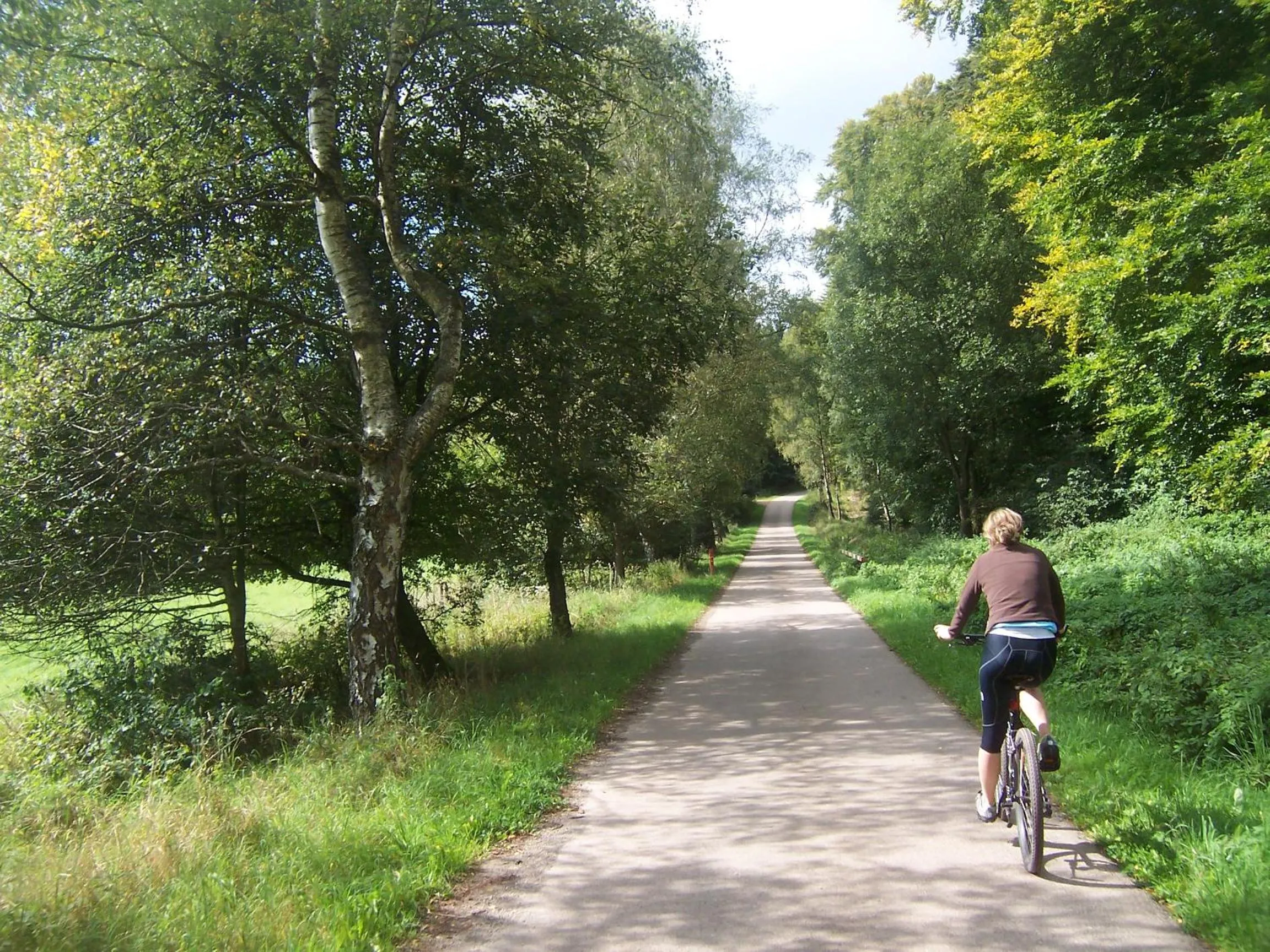 Cycling in Blesius Garten