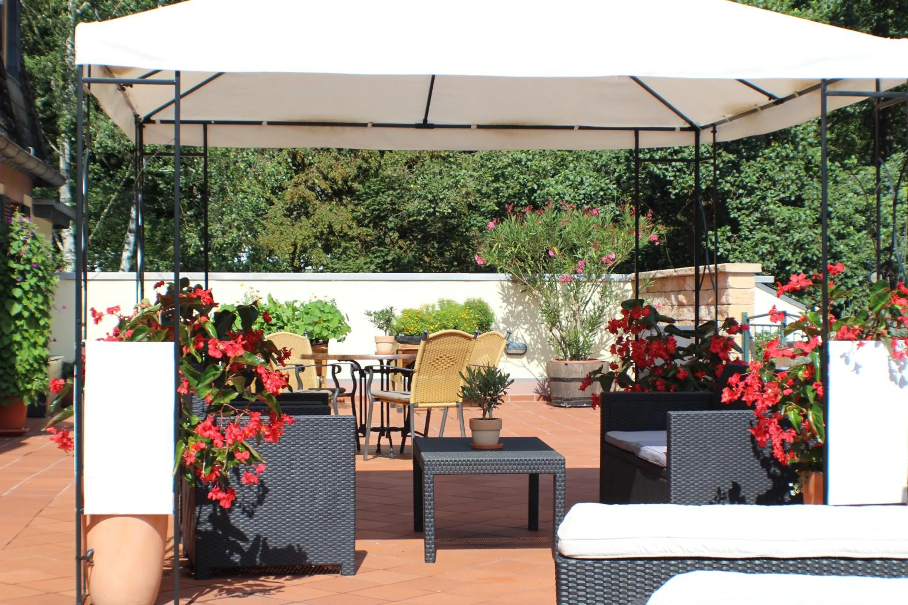 Patio in Blesius Garten