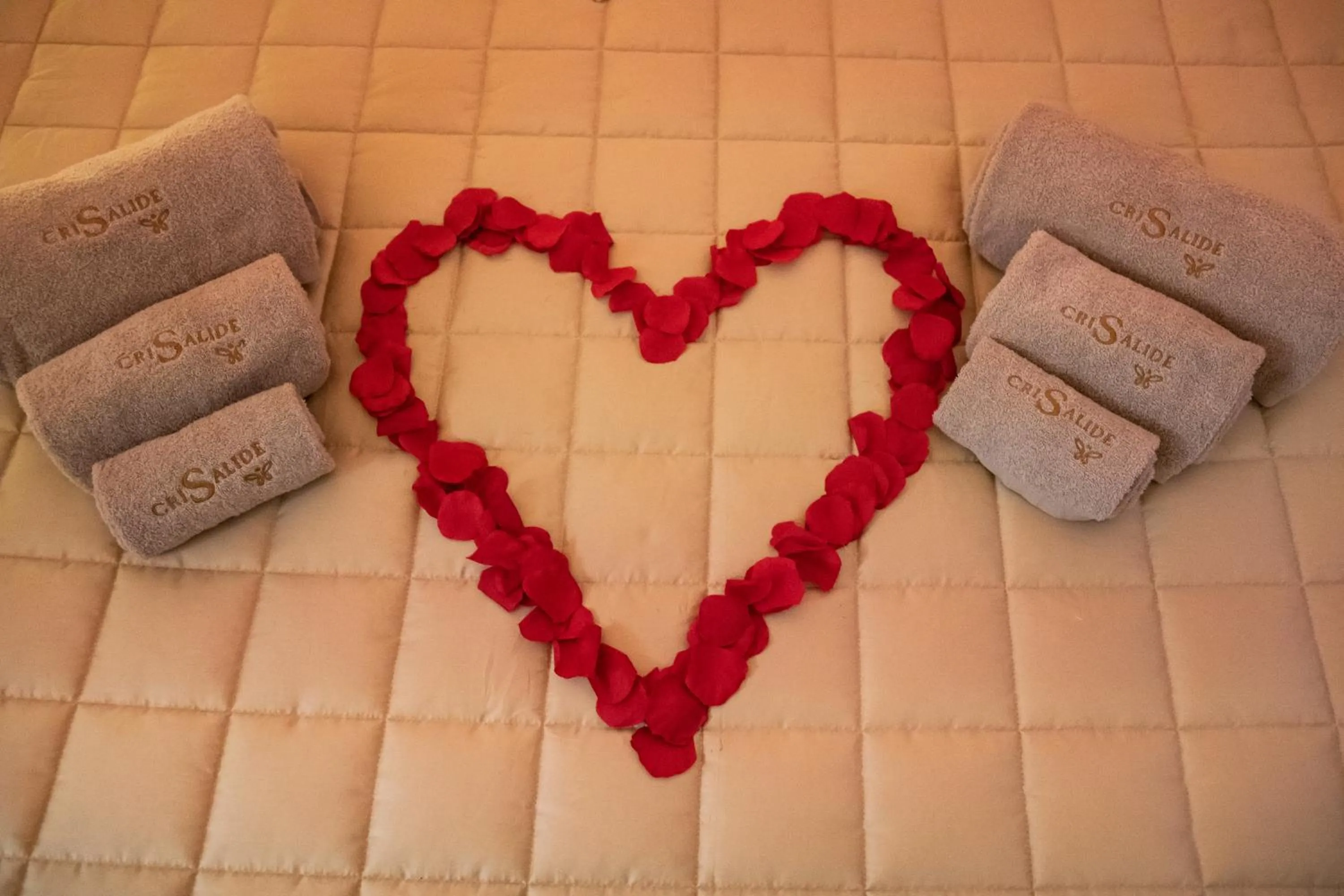 Wellness Home Crisalide SPA