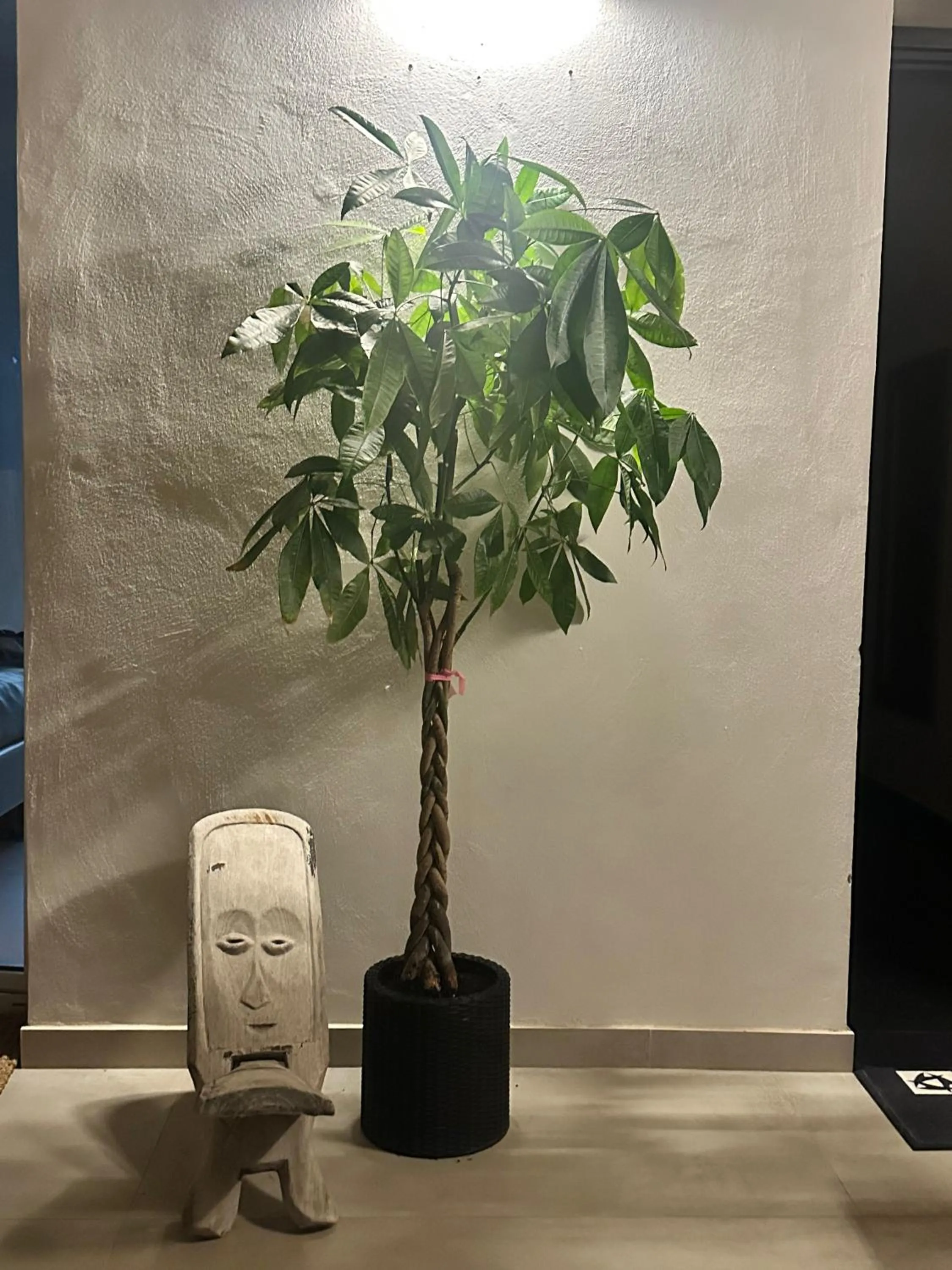 furniture in Sunset Wave - STAGNONE KITESURF VILLAGE