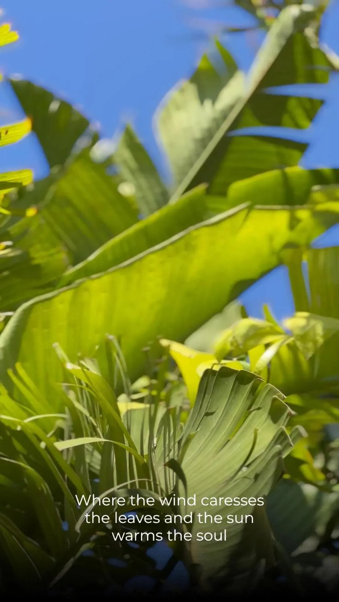 Sunset Wave - STAGNONE KITESURF VILLAGE