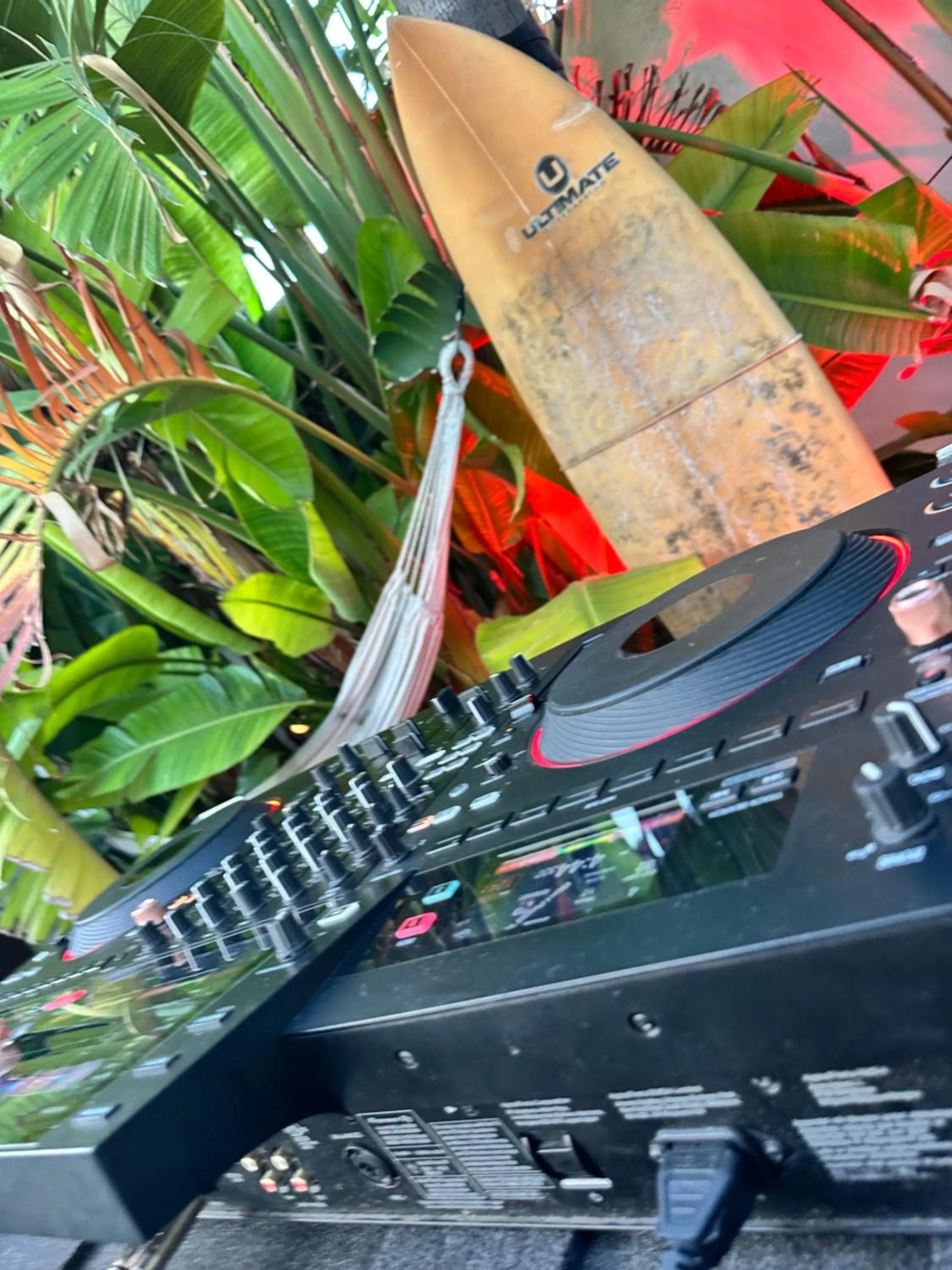 Garden in Sunset Wave - STAGNONE KITESURF VILLAGE