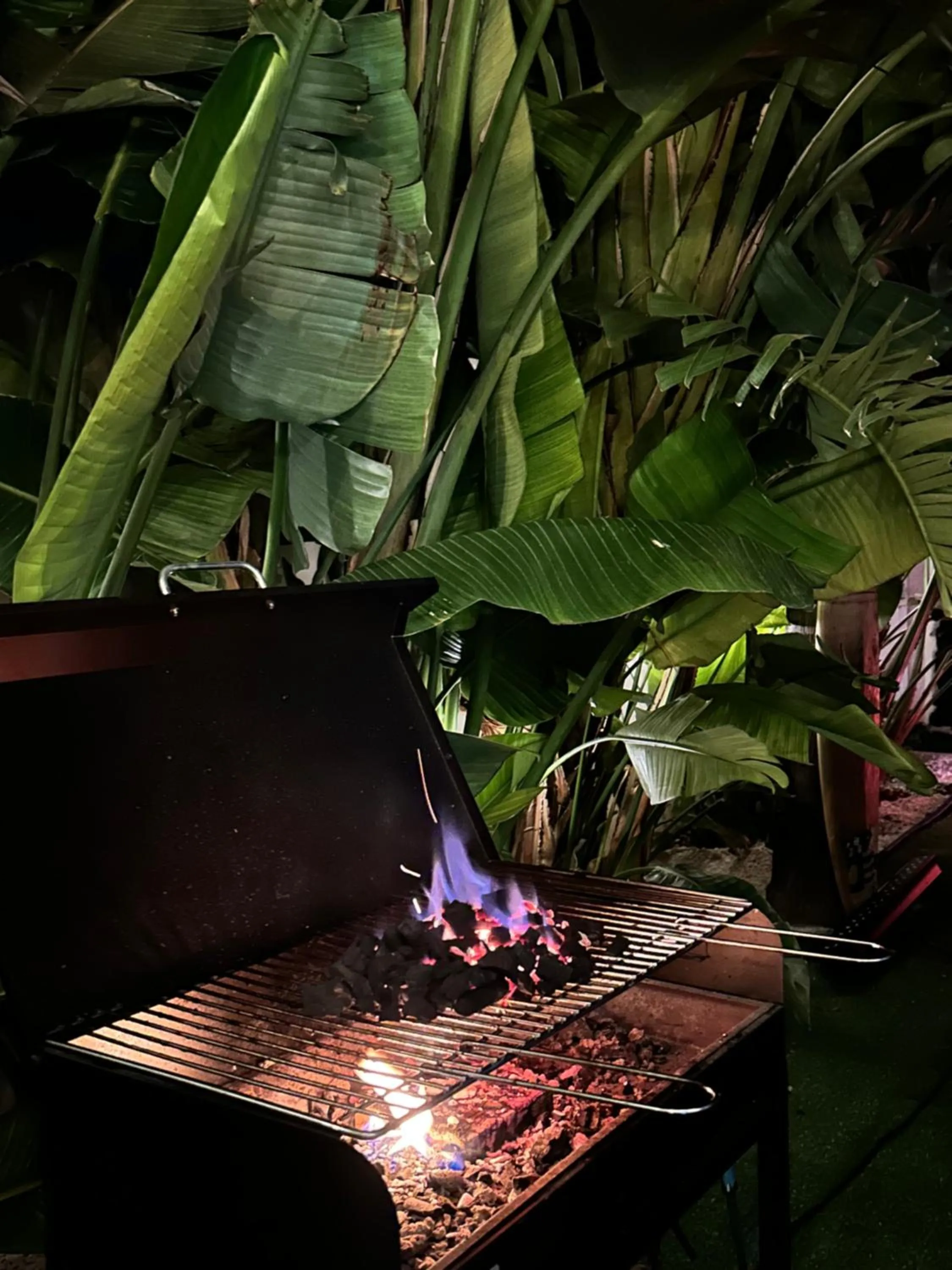 Garden in Sunset Wave - STAGNONE KITESURF VILLAGE