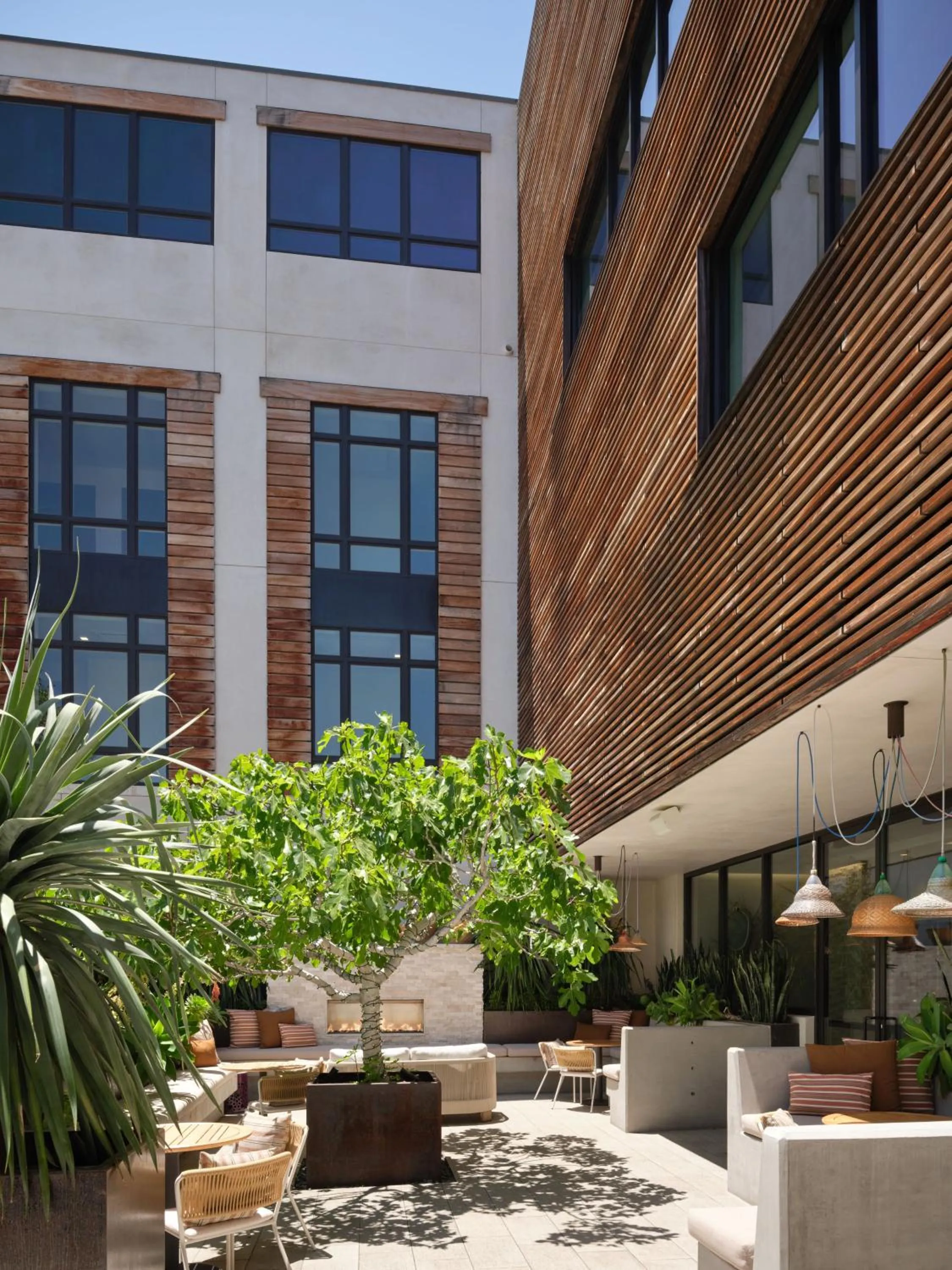 Patio in HOTEL CERRO, Autograph Collection
