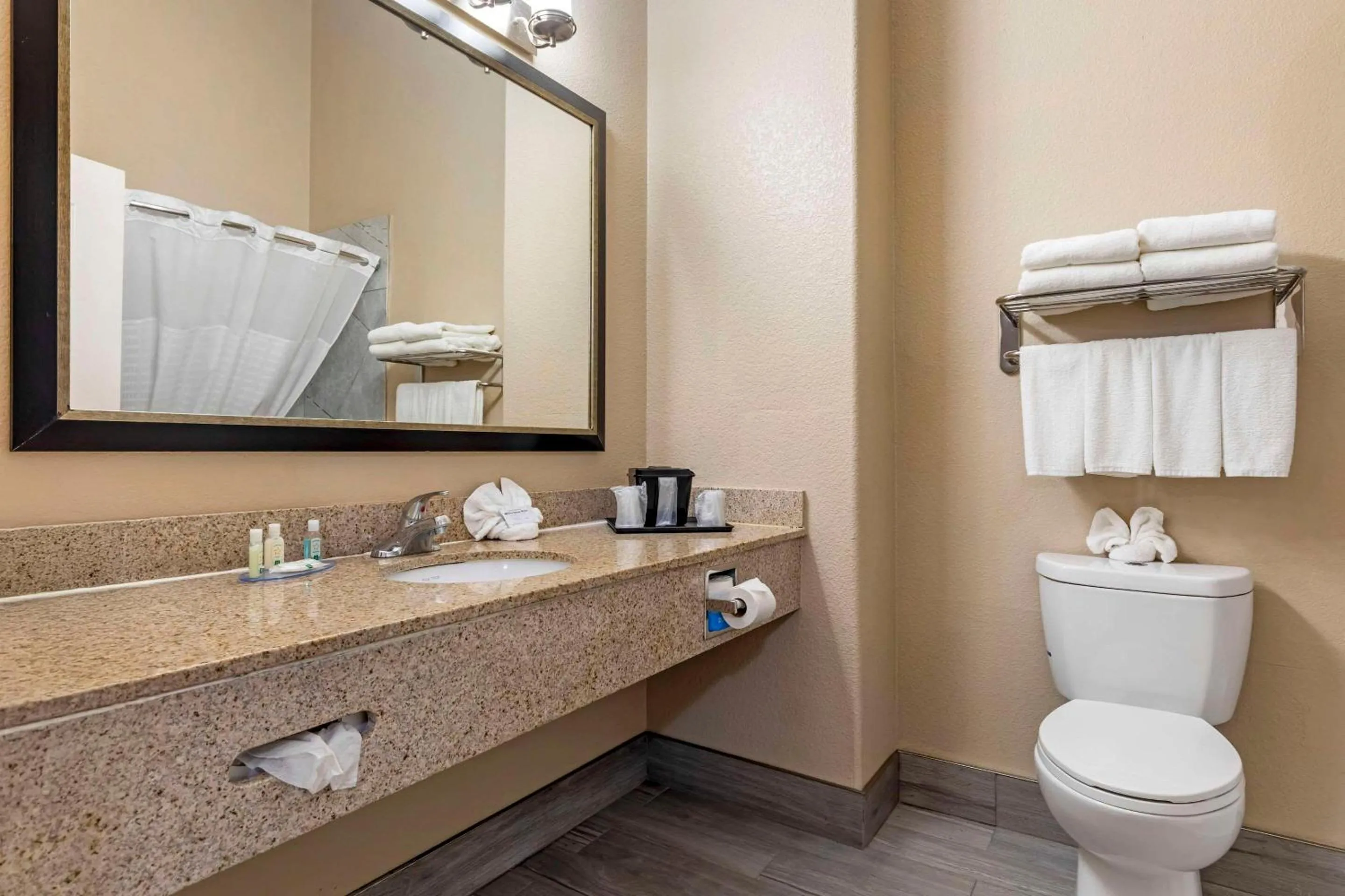 Bathroom in Quality Inn and Suites Groesbeck