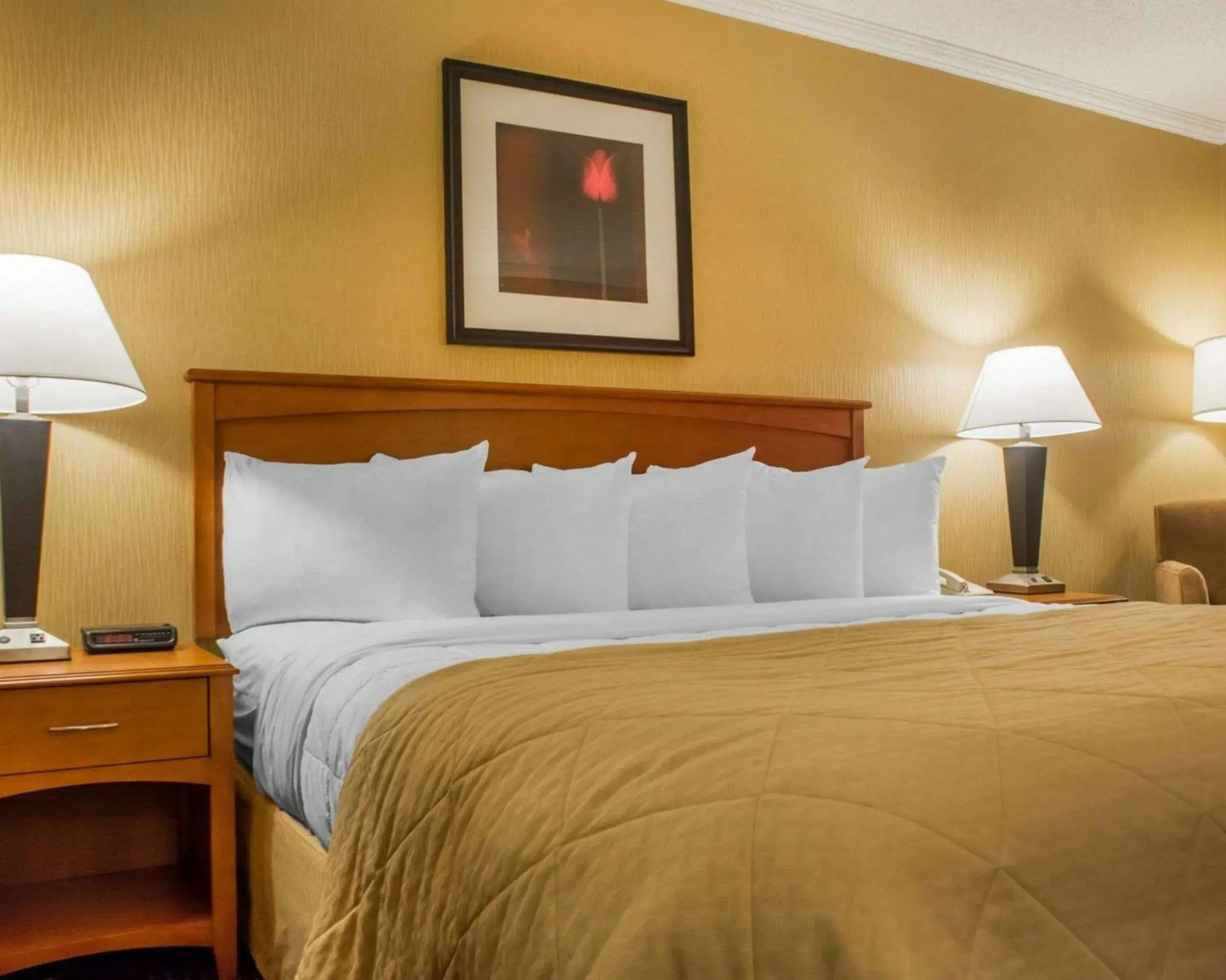 King Room - Accessible/Non-Smoking in Clarion Hotel & Suites Riverfront King Room - Accessible/Non-Smoking in Clarion Hotel & Suites Riverfront