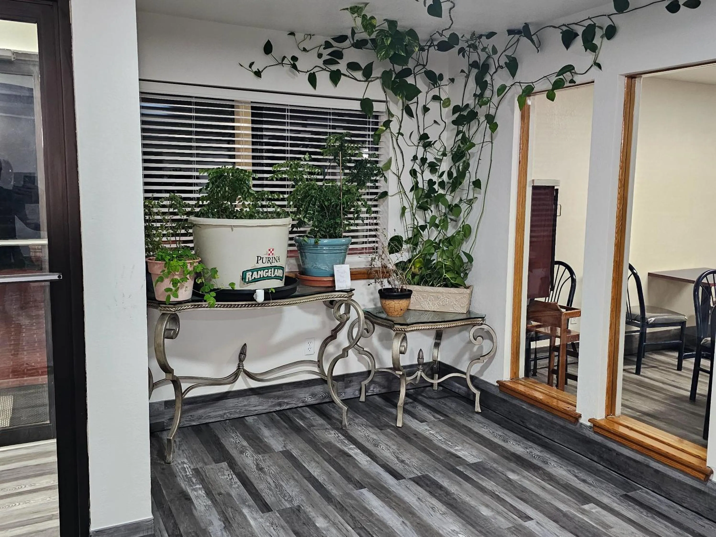 Lobby or reception in Rodeway Inn Tucumcari