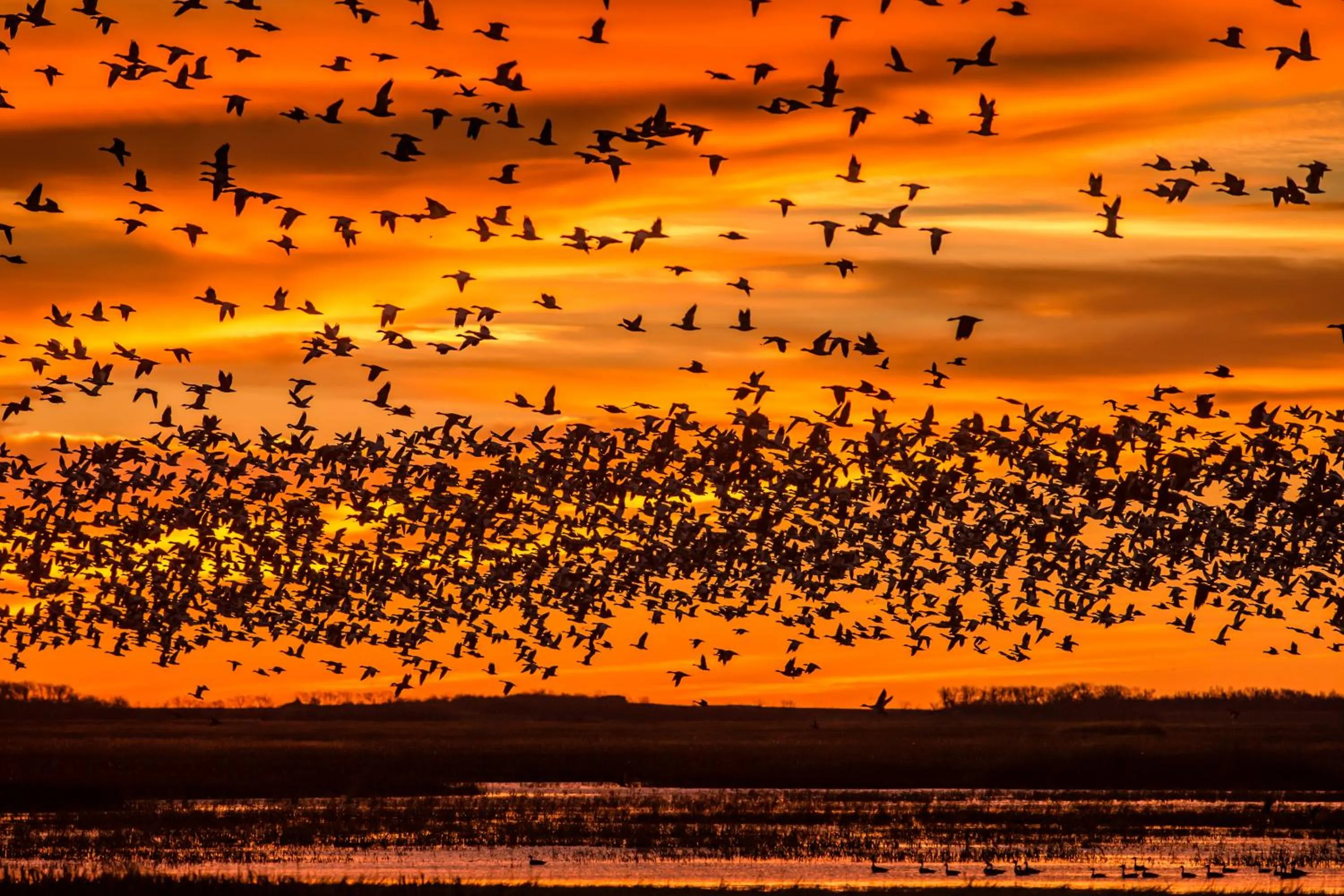 Nearby landmark in Rodeway Inn & Suites Hoisington