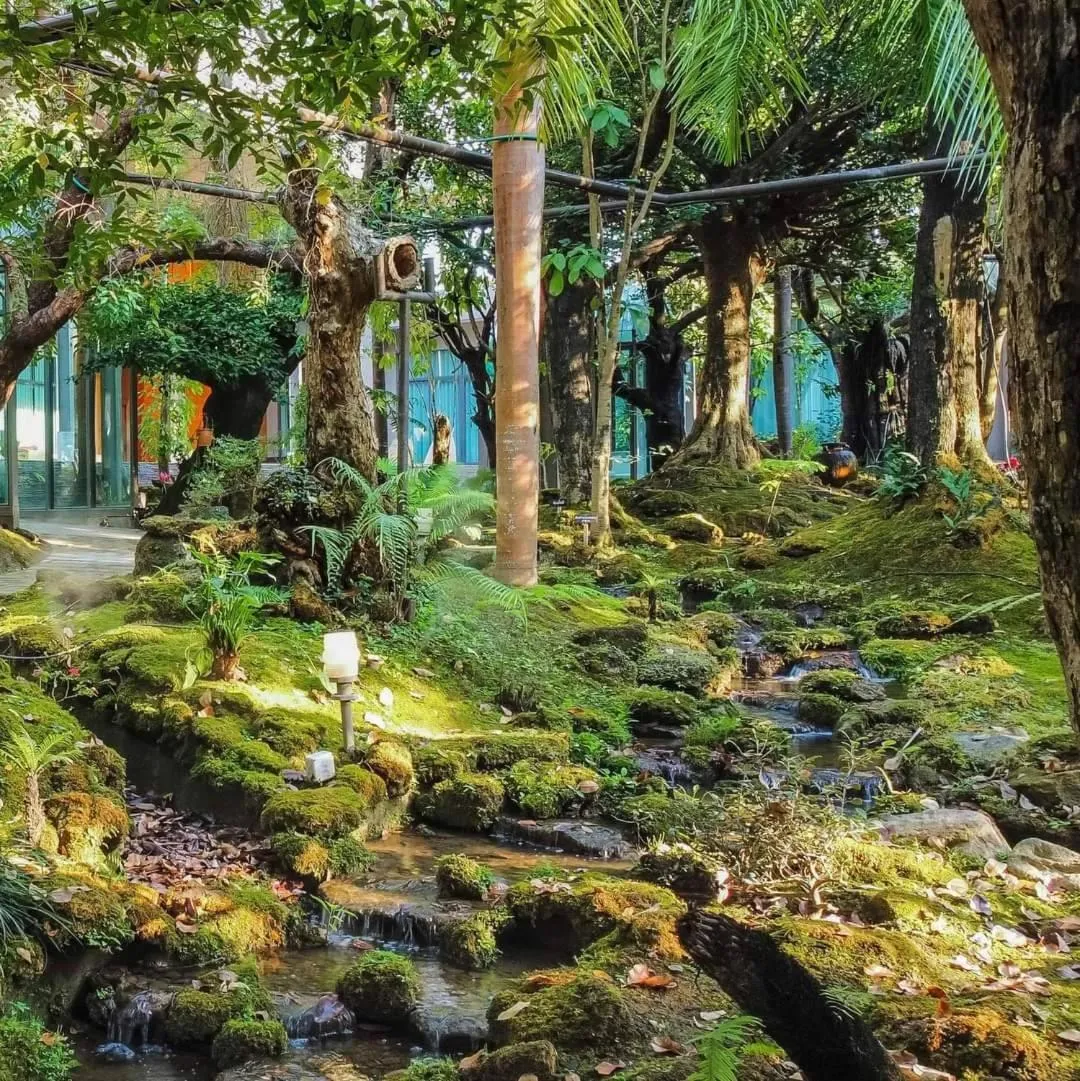 Treescape Resort Chiangmai