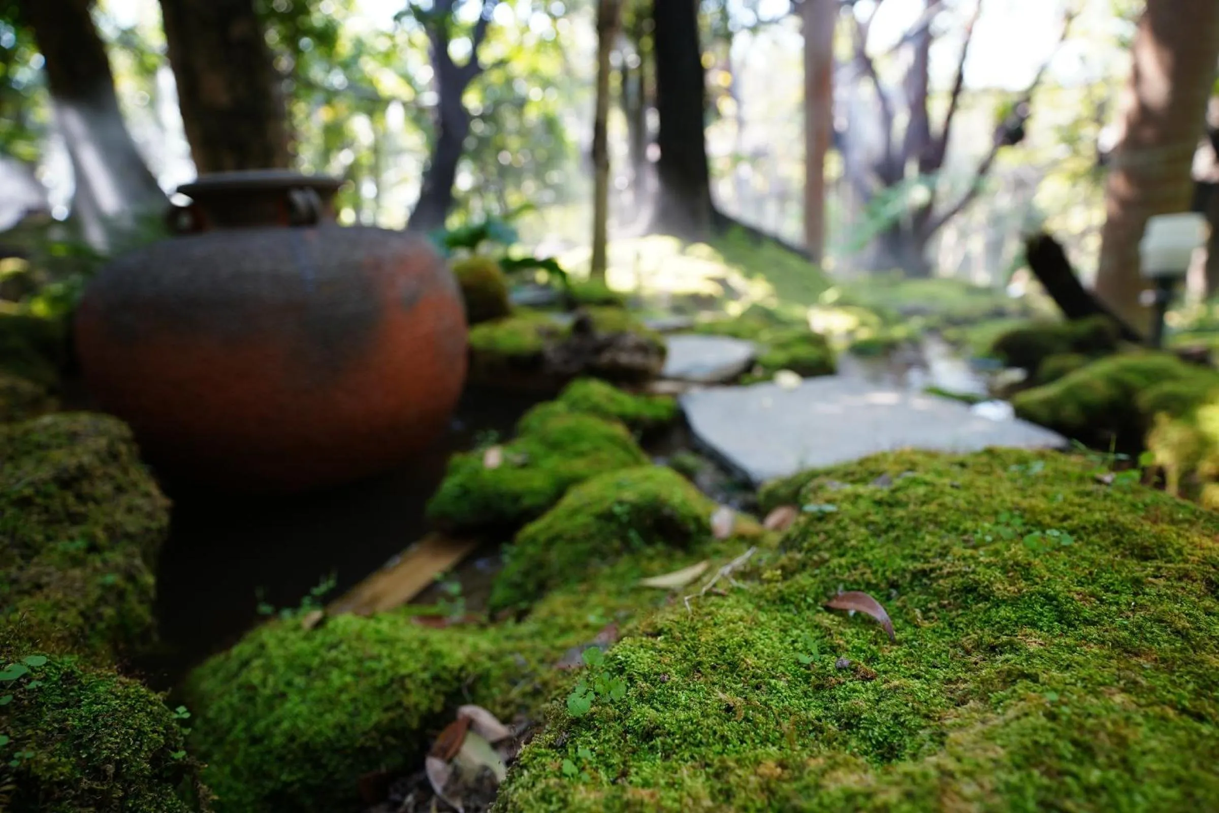 Garden in Treescape Resort Chiangmai
