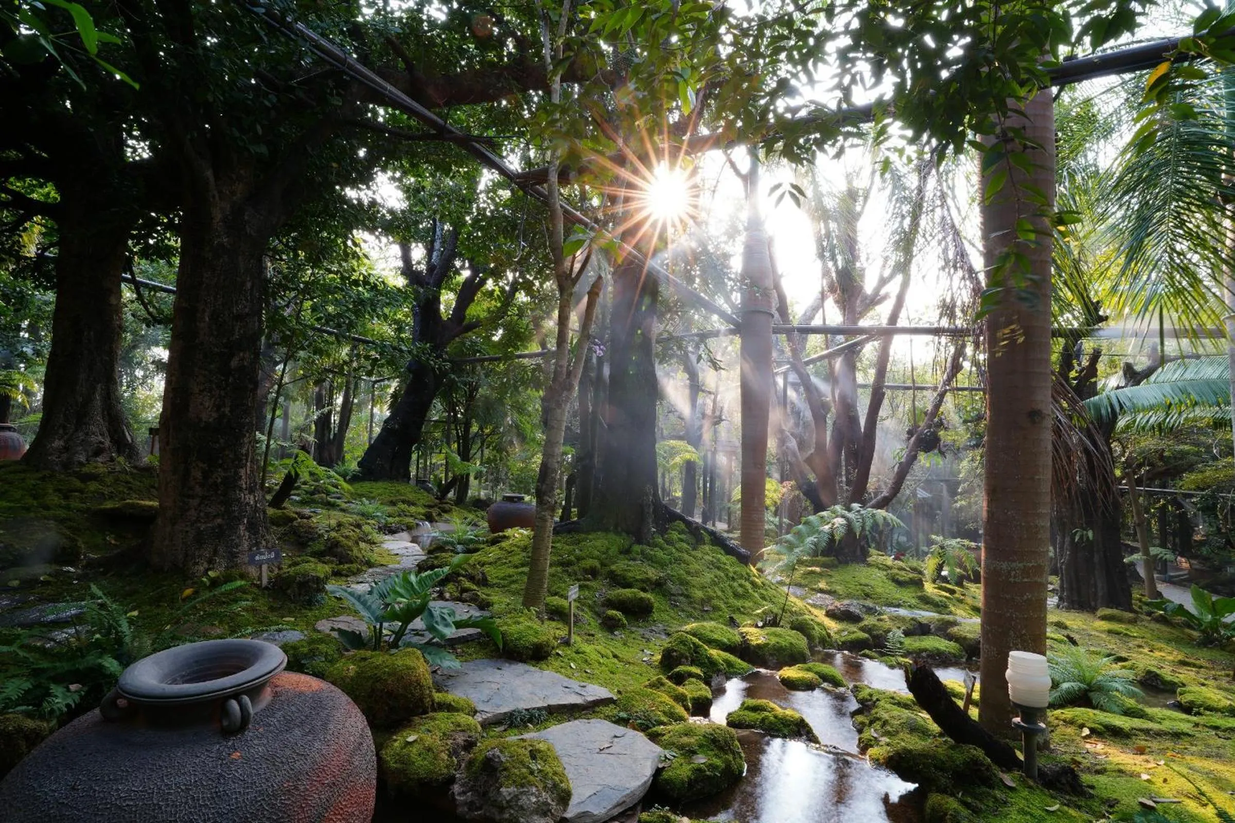 Treescape Resort Chiangmai