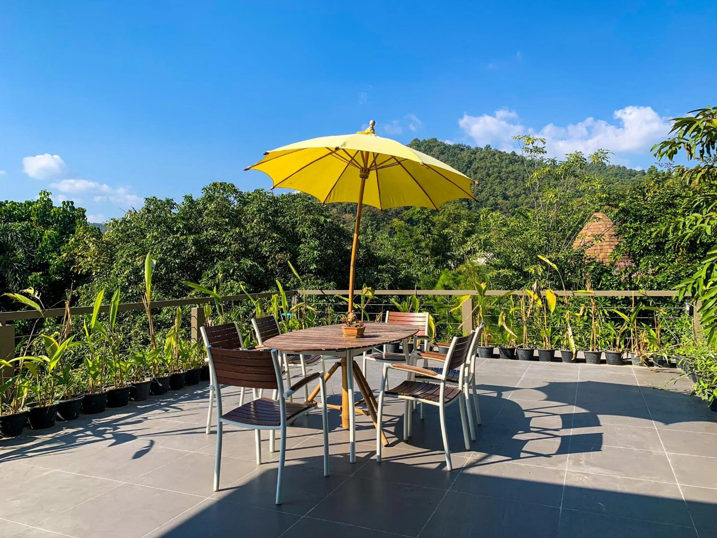 View (from property/room) in Treescape Resort Chiangmai