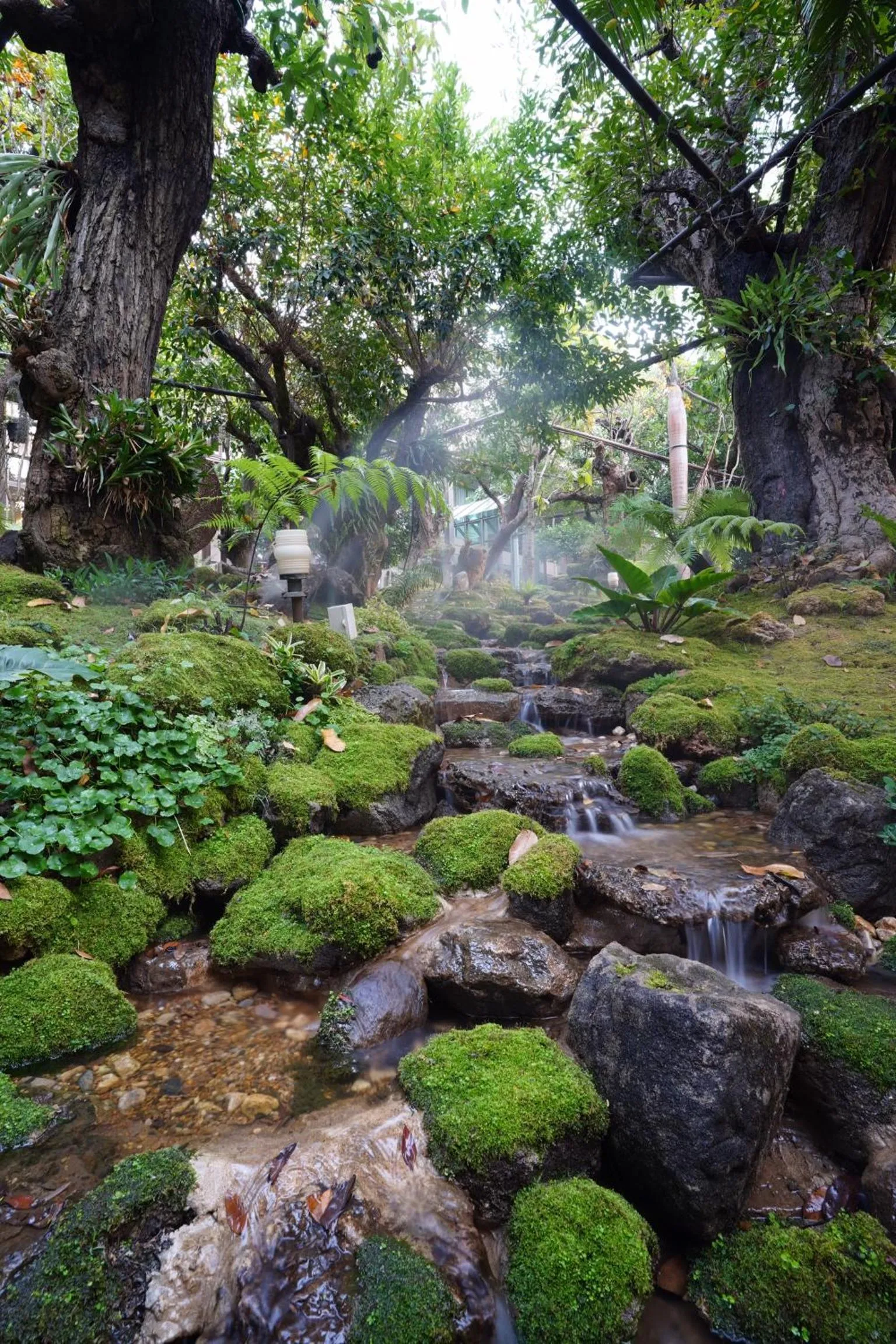 Treescape Resort Chiangmai