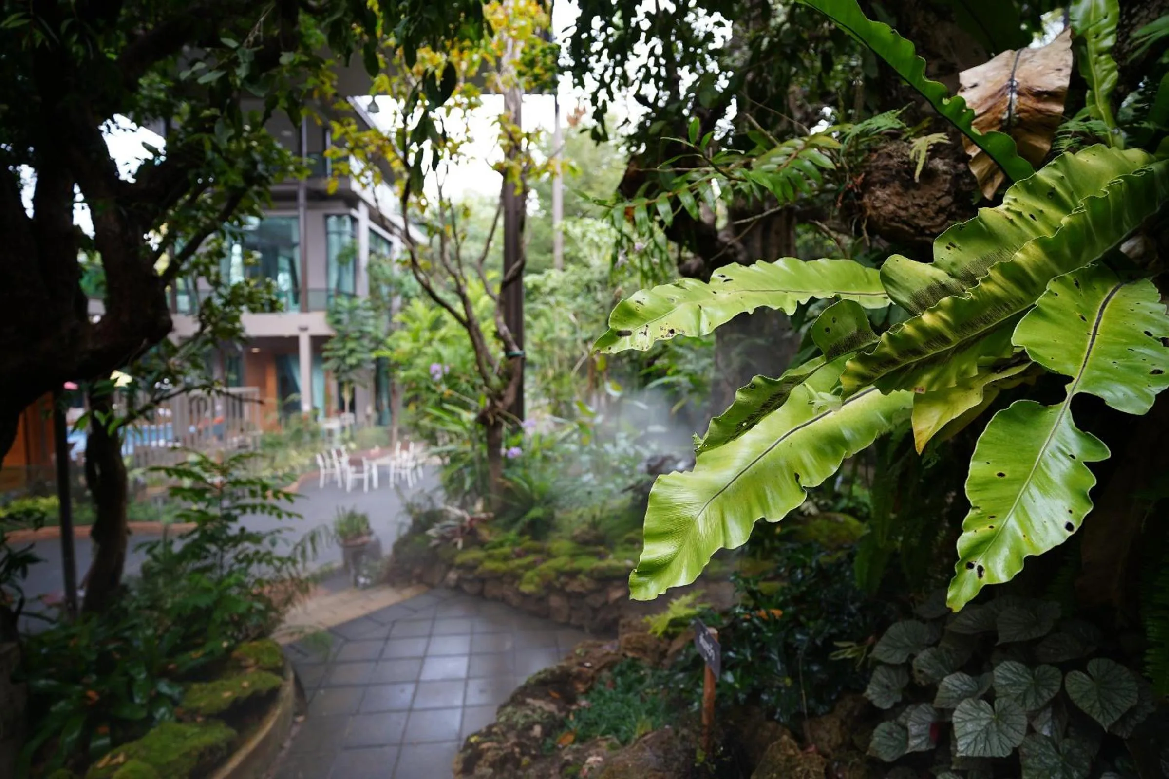 Garden in Treescape Resort Chiangmai