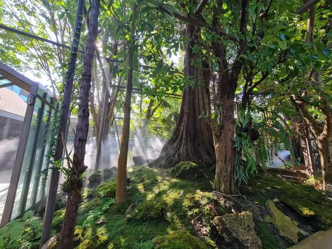 Treescape Resort Chiangmai