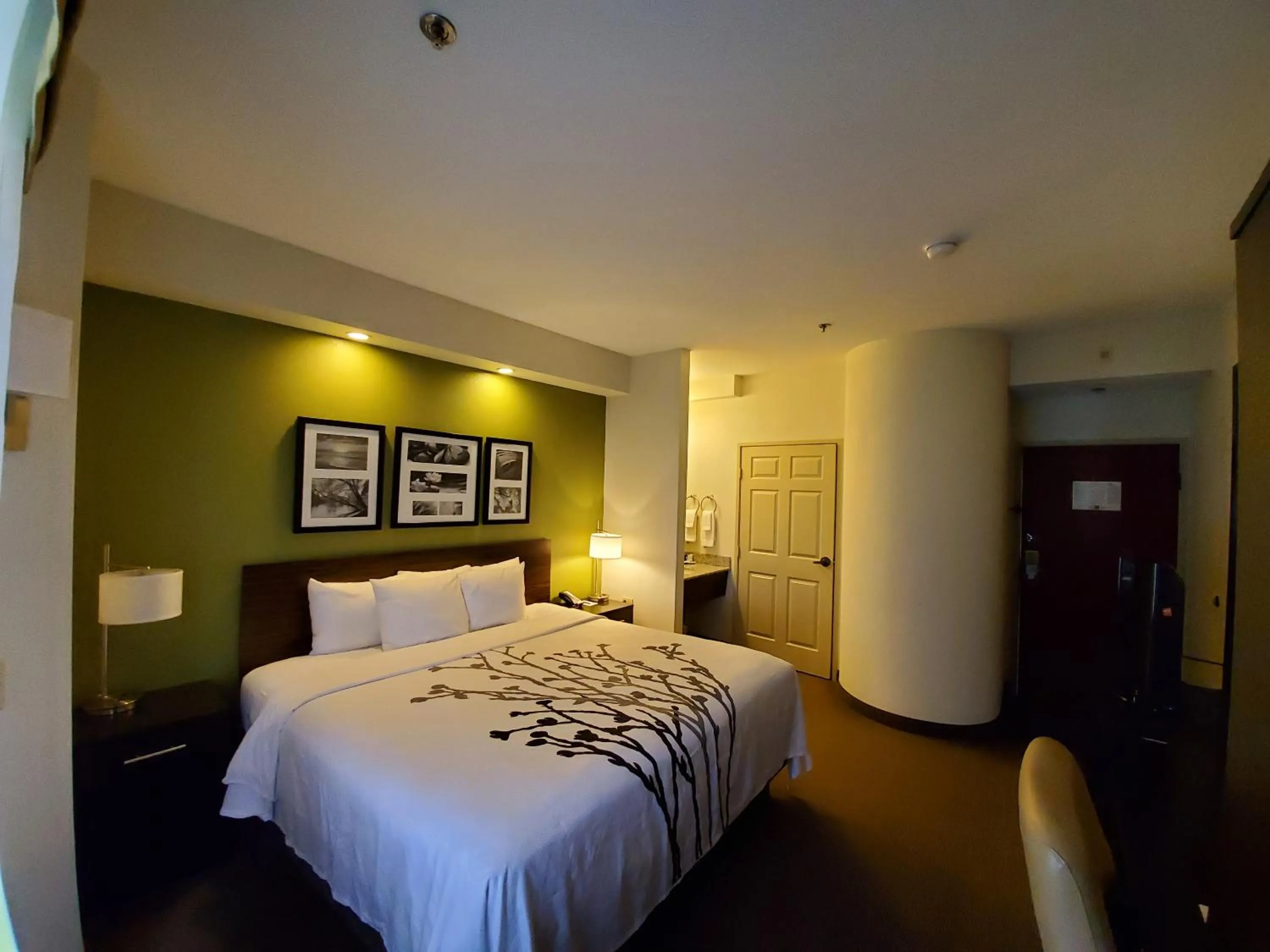 Bed in Sleep Inn Richmond North