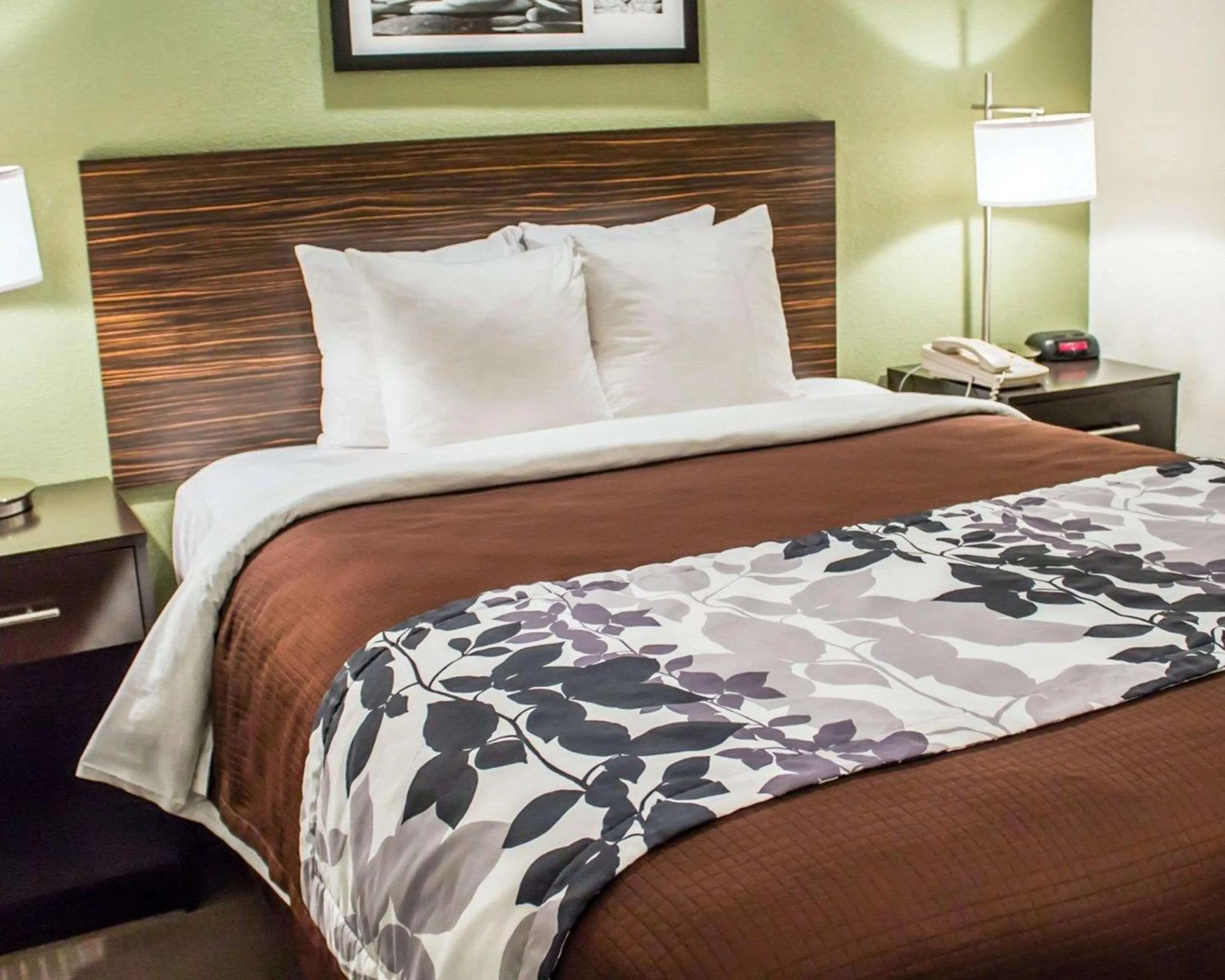 Photo of the whole room, Bed in Sleep Inn Summersville - New River Gorge Area