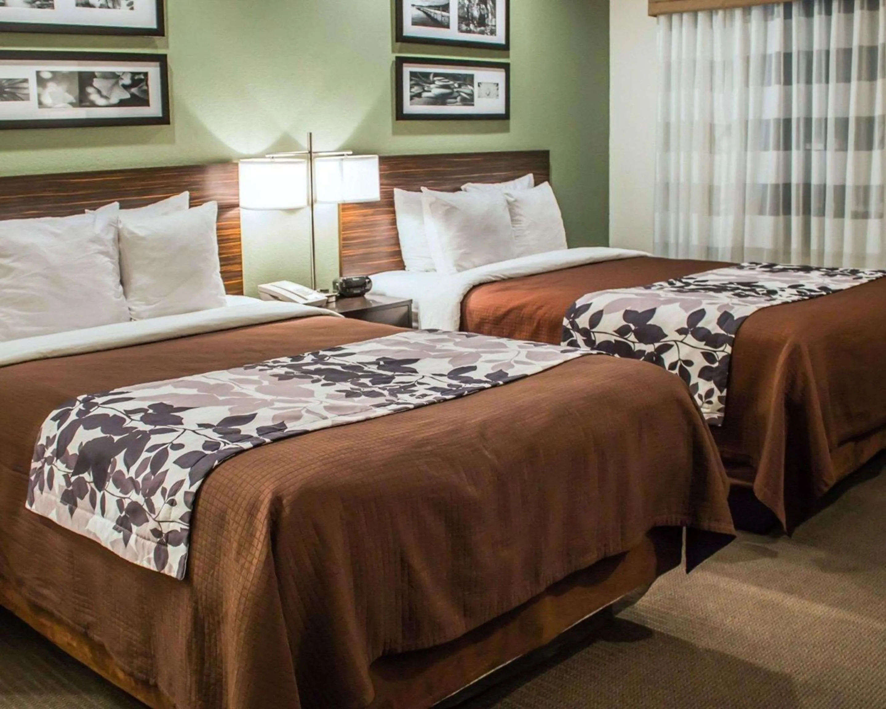 Photo of the whole room, Bed in Sleep Inn Summersville - New River Gorge Area