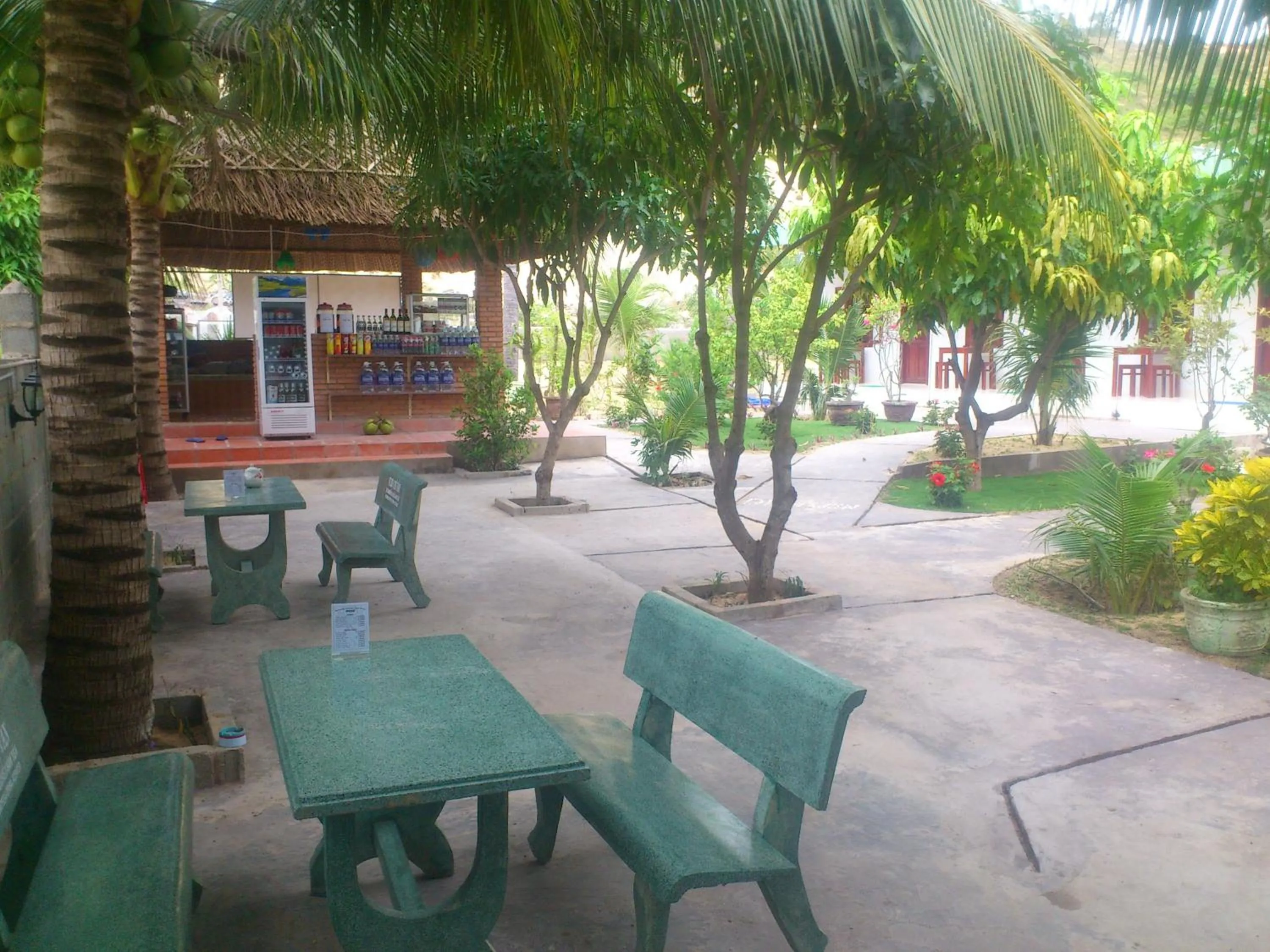 Garden in Diem Lien Guesthouse