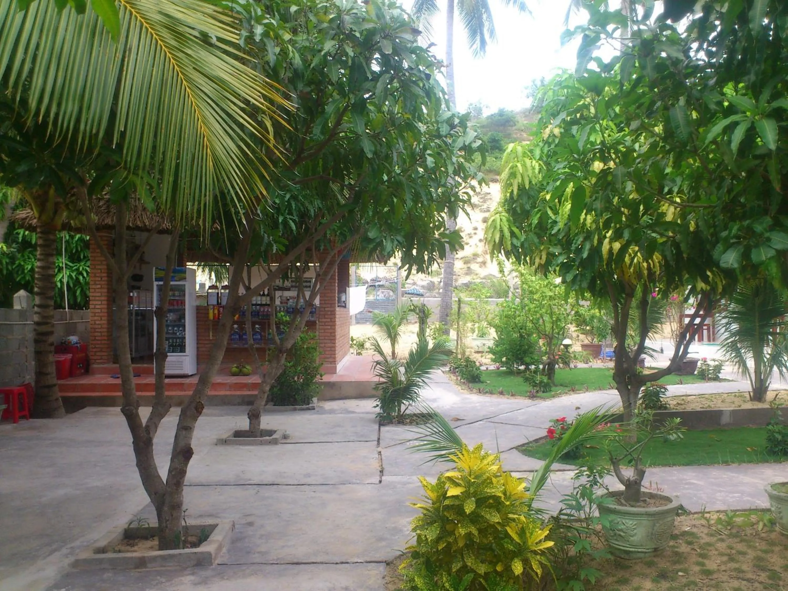 Garden in Diem Lien Guesthouse