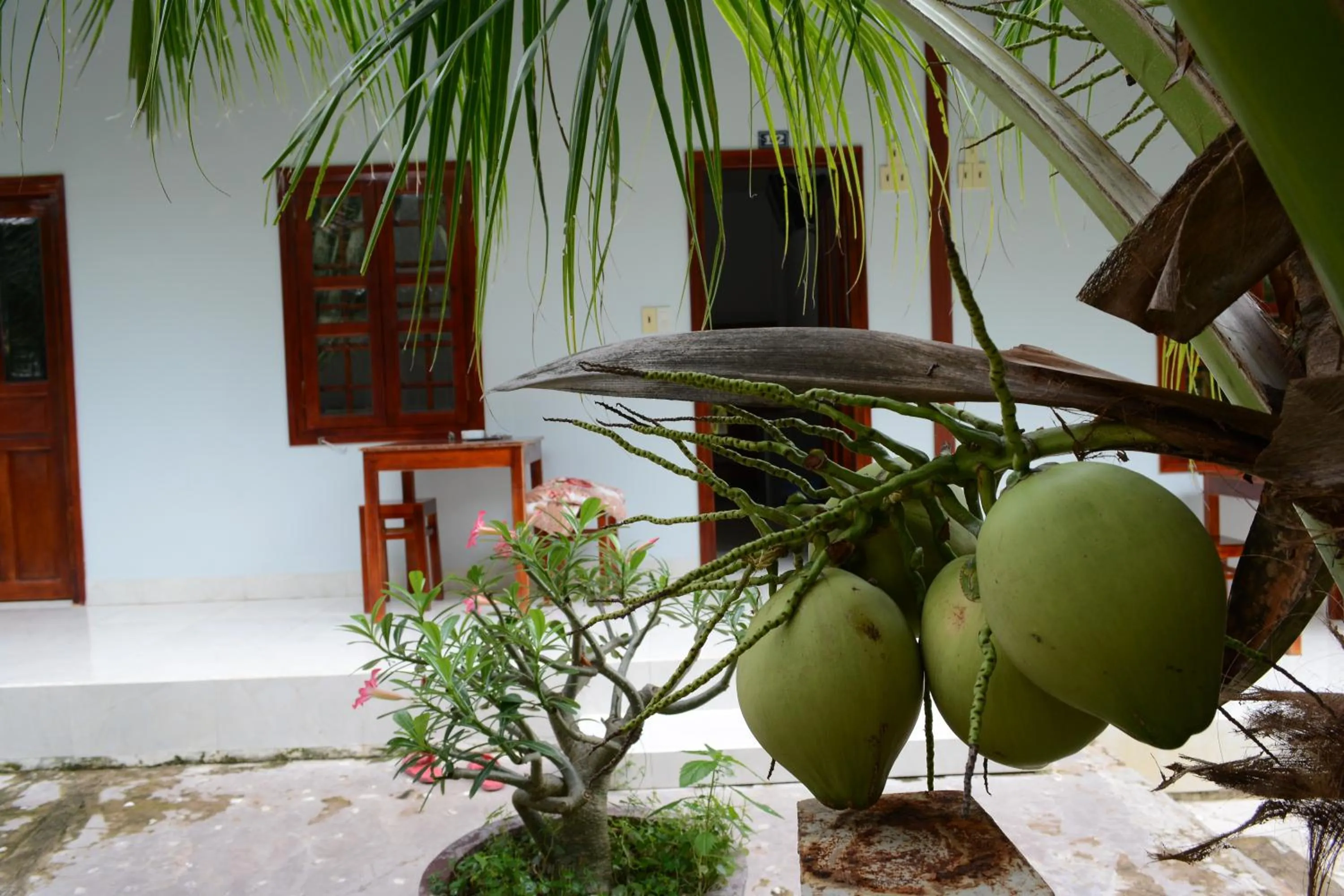 Diem Lien Guesthouse