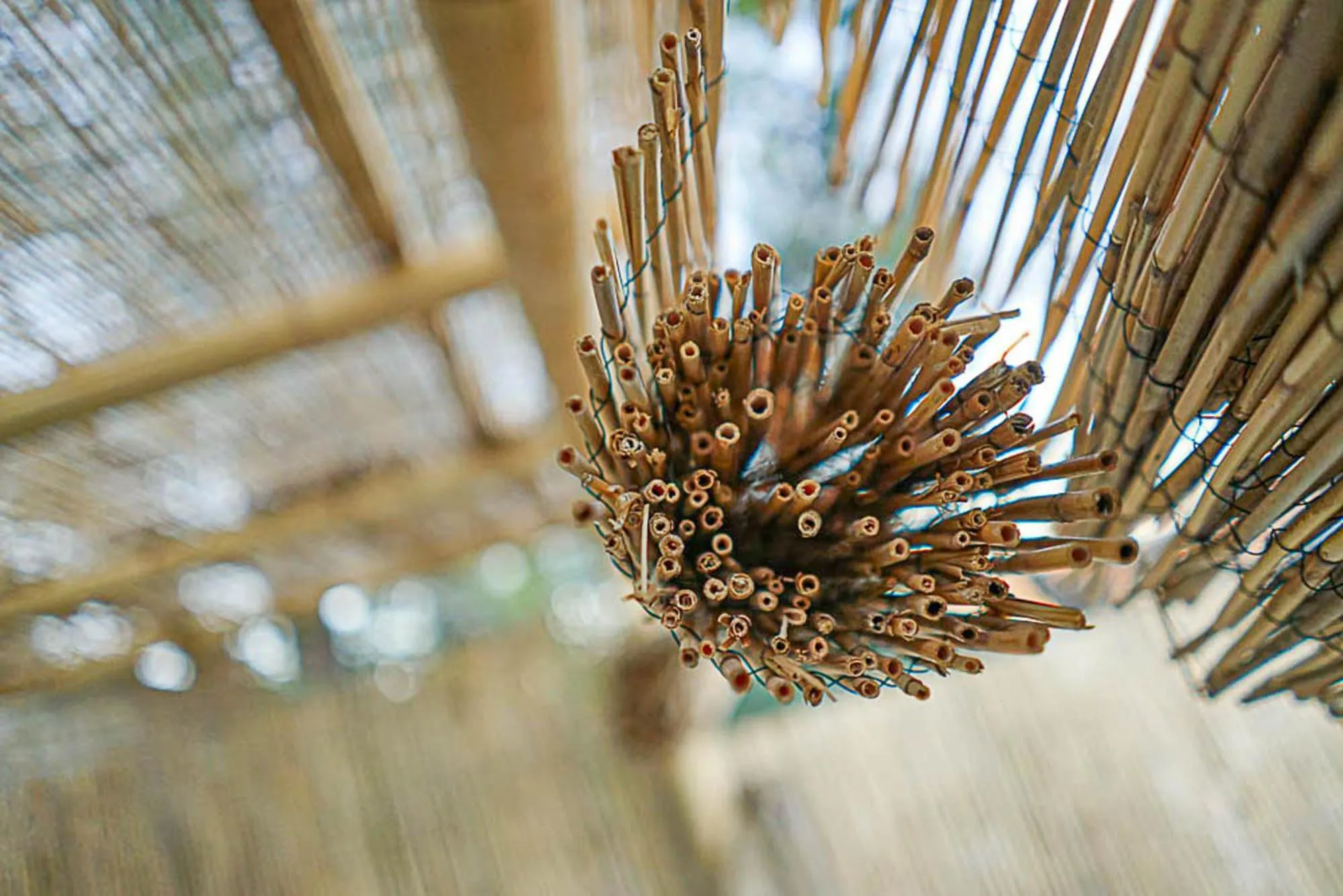 Decorative detail in Ronda Center Apartments with Pool
