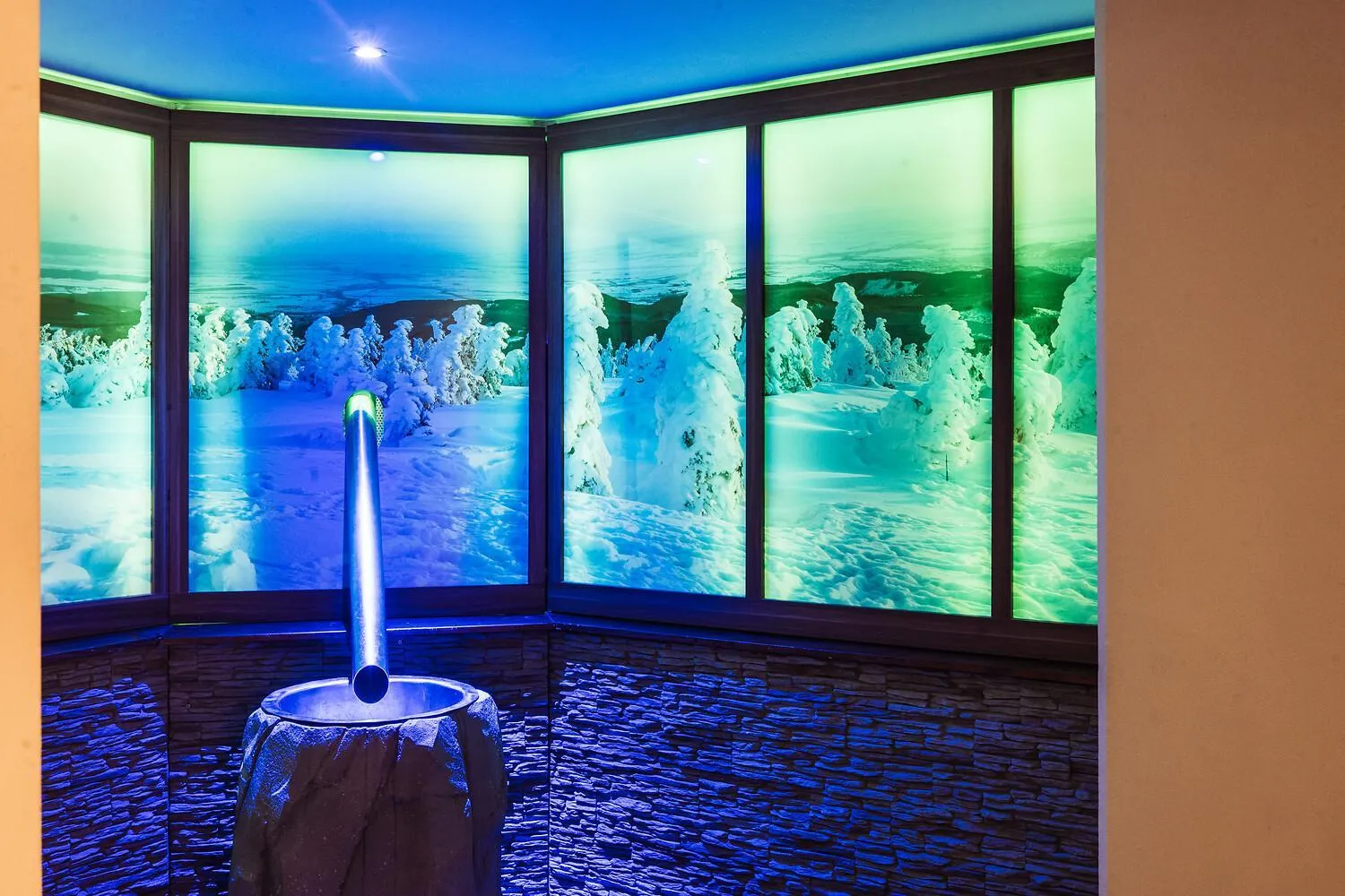 Spa and wellness centre/facilities in A-ROSA Gothisches Haus Wernigerode