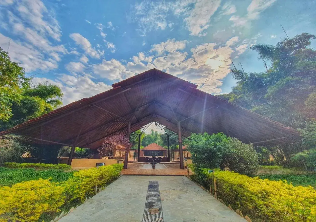 Greetoe Celebration Van Vilas Greetoe Celebration Van Vilas