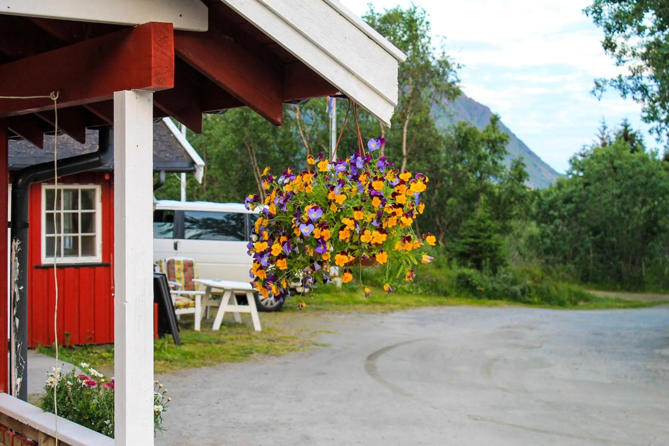 Property building in Lofoten Camp