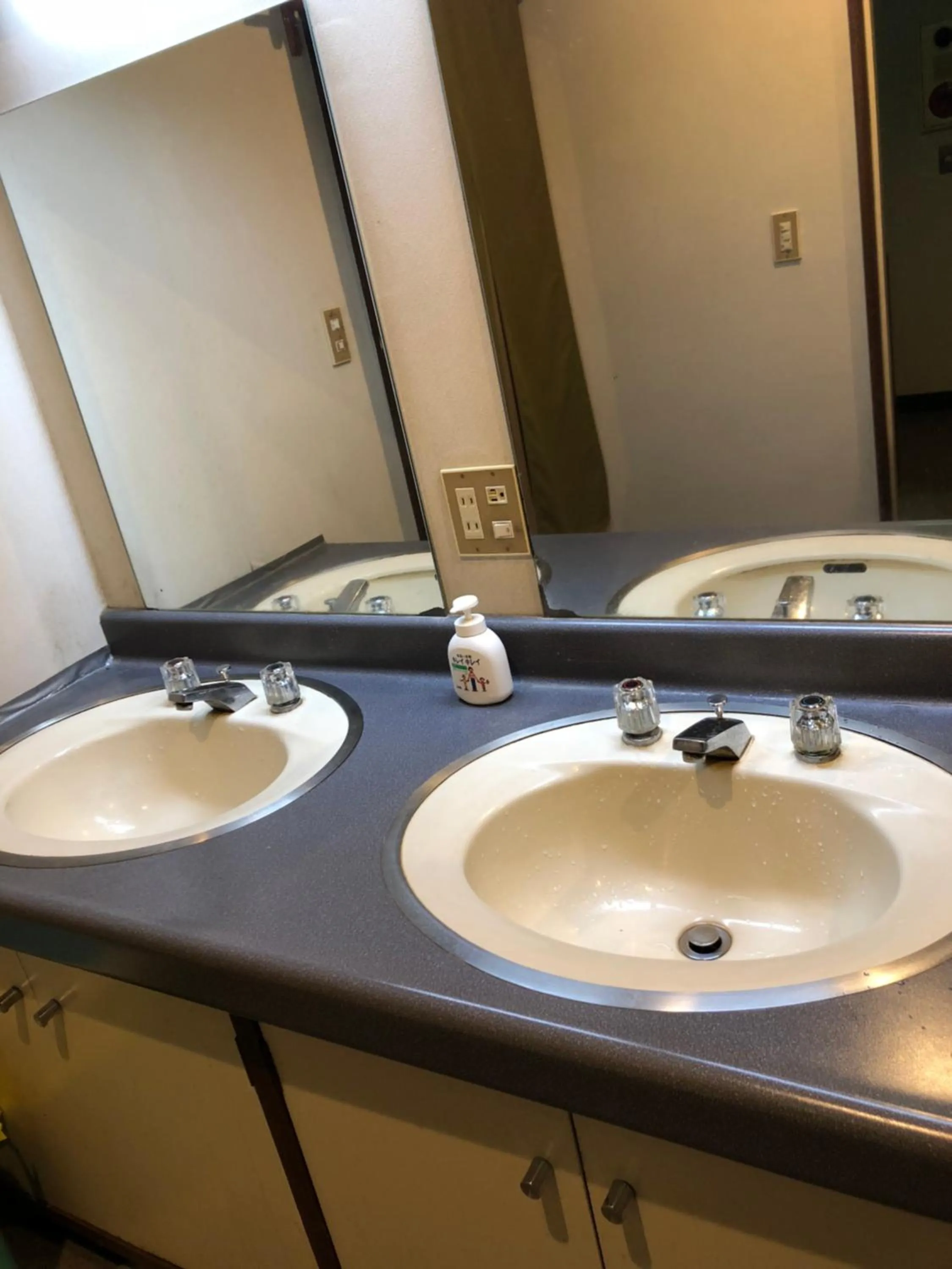 Toilet in Ichifujiso