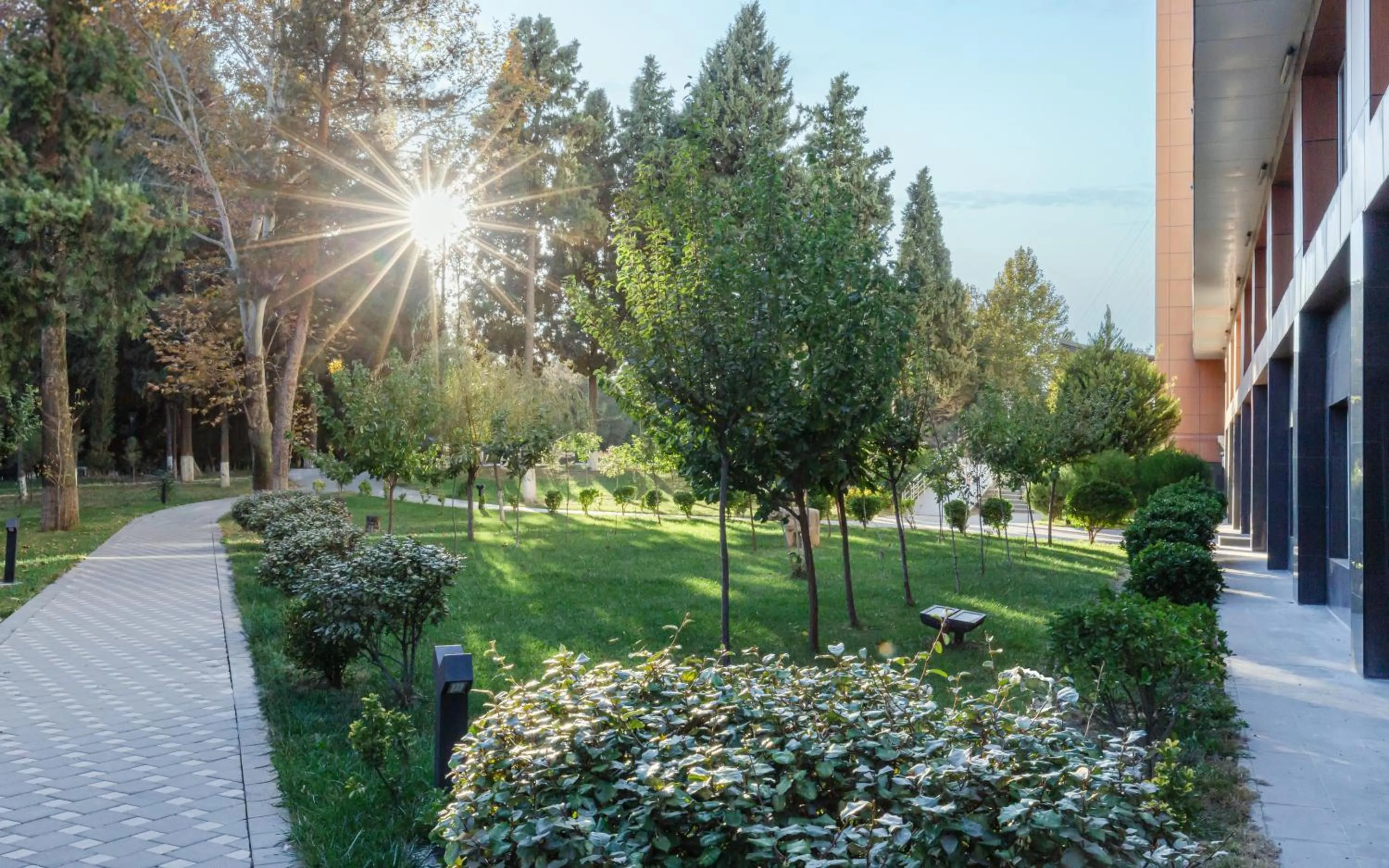 Garden in Chinar Health Hotel Naftalan