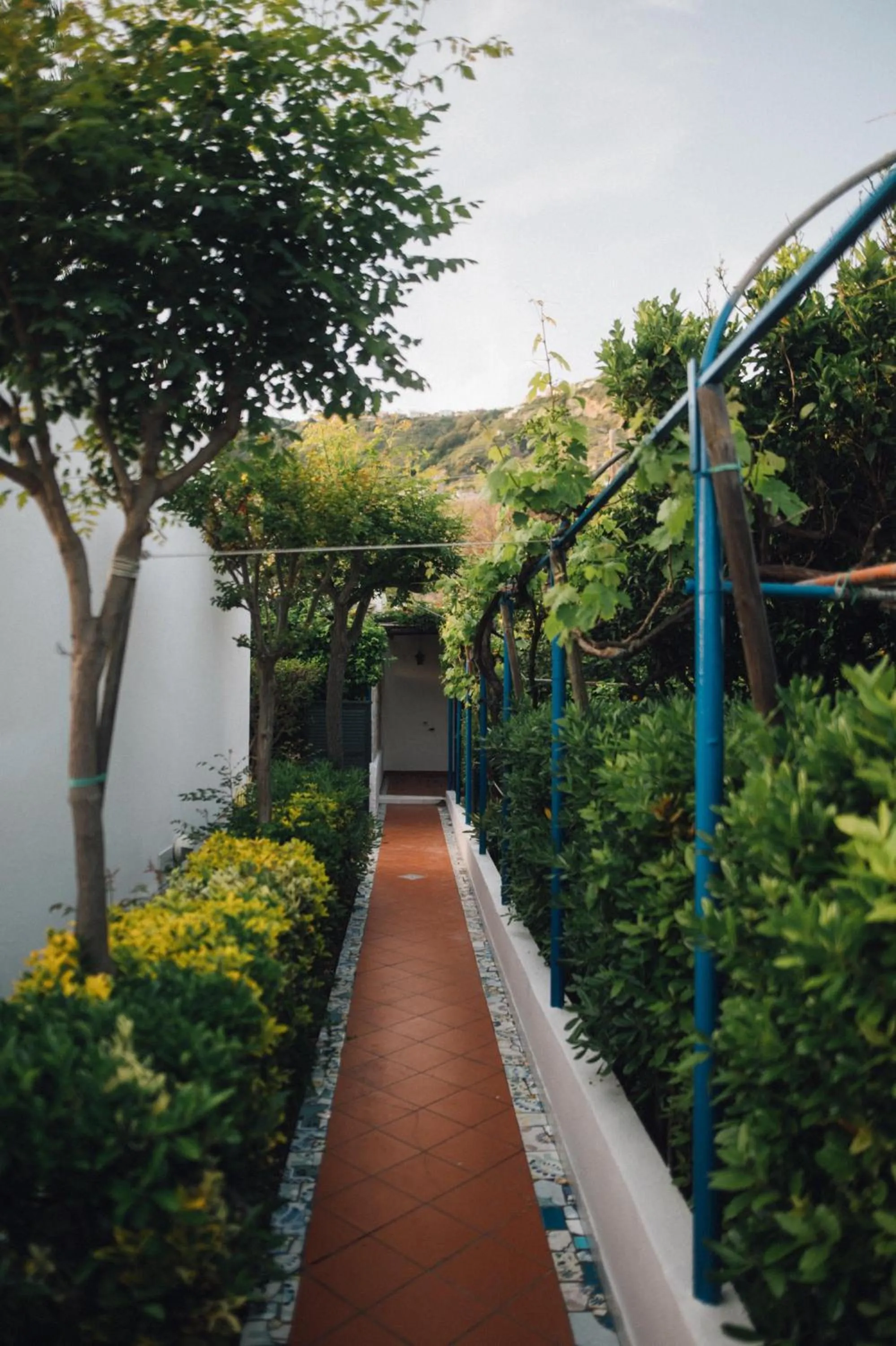 Garden in Hotel Villa Maria