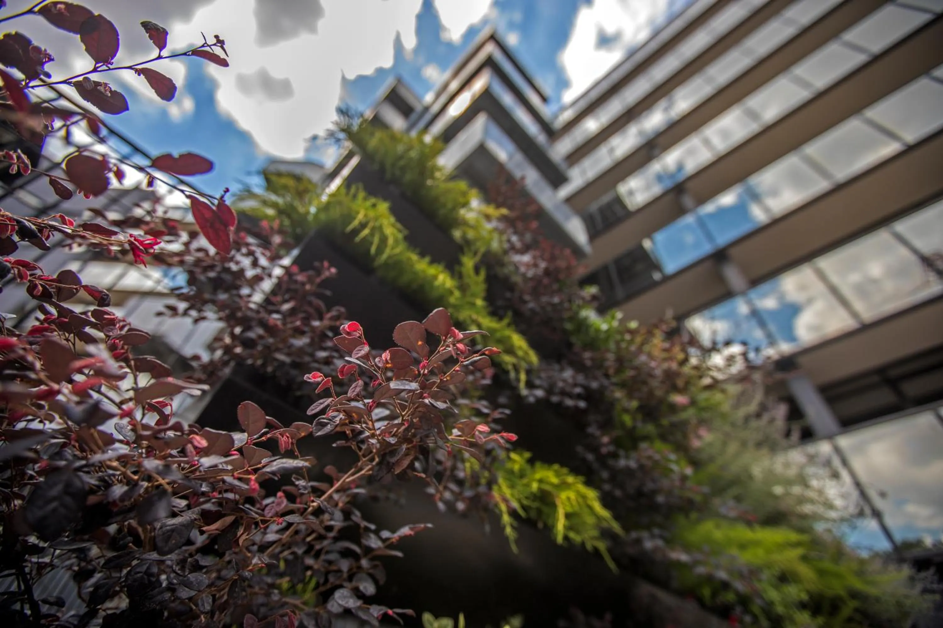 Mercure Roma Cinecitta