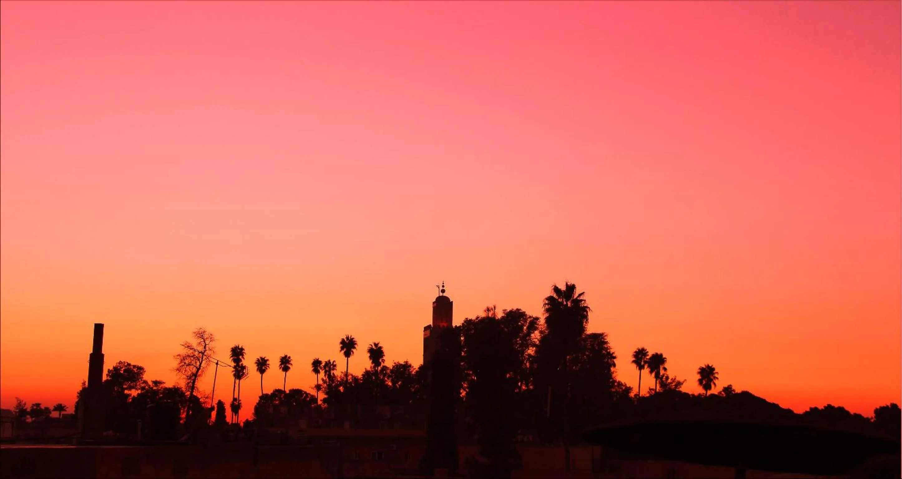 Spring in Riad Hôtel Marraplace