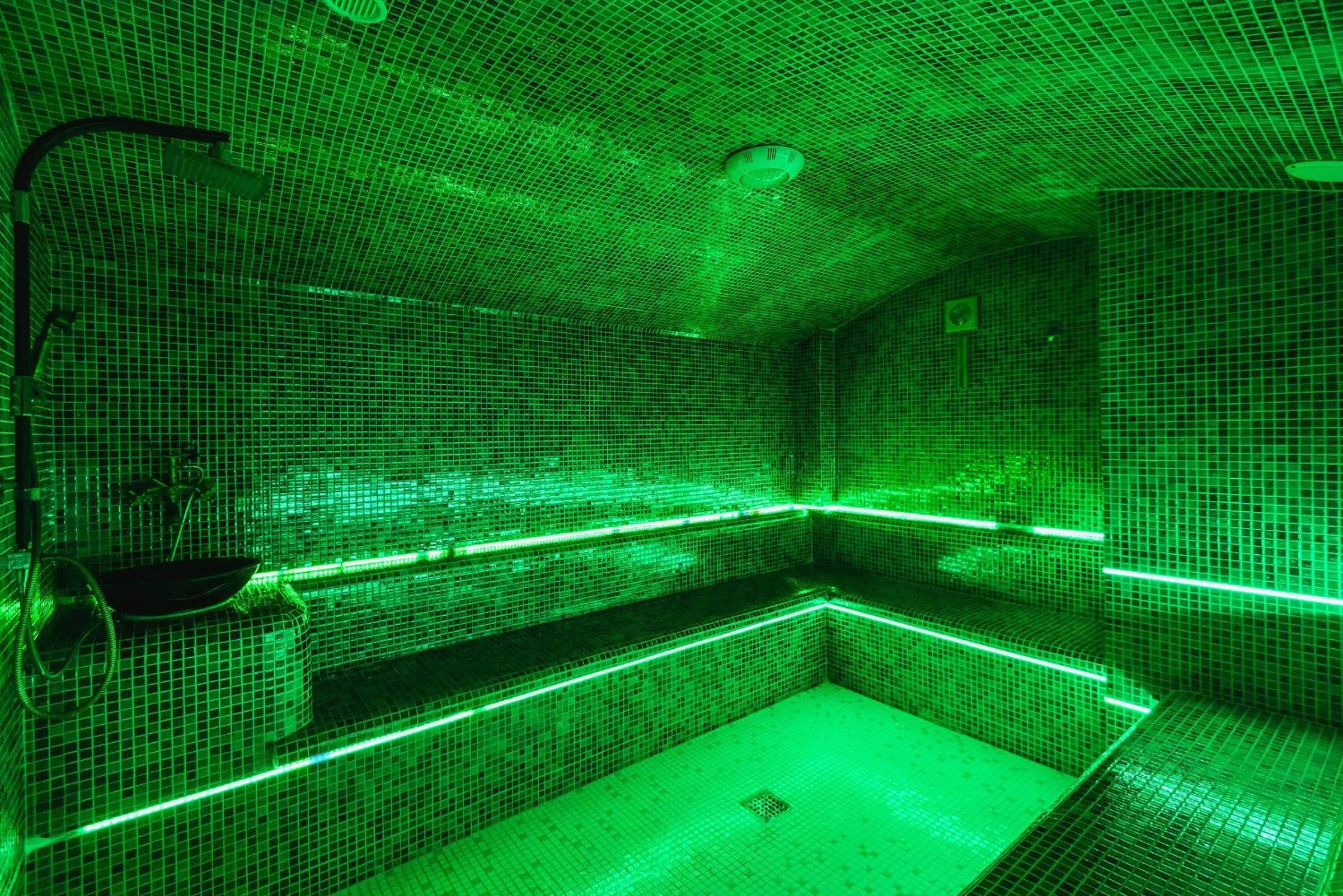 Steam room in HOTEL CARPAT INN