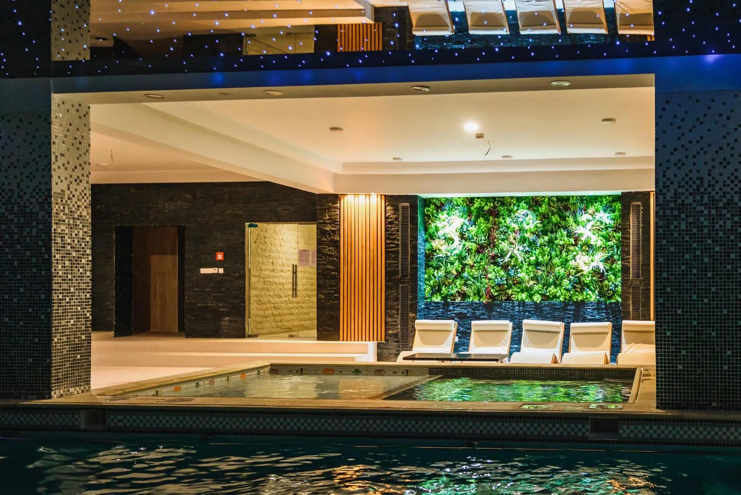 Spa and wellness centre/facilities in HOTEL CARPAT INN