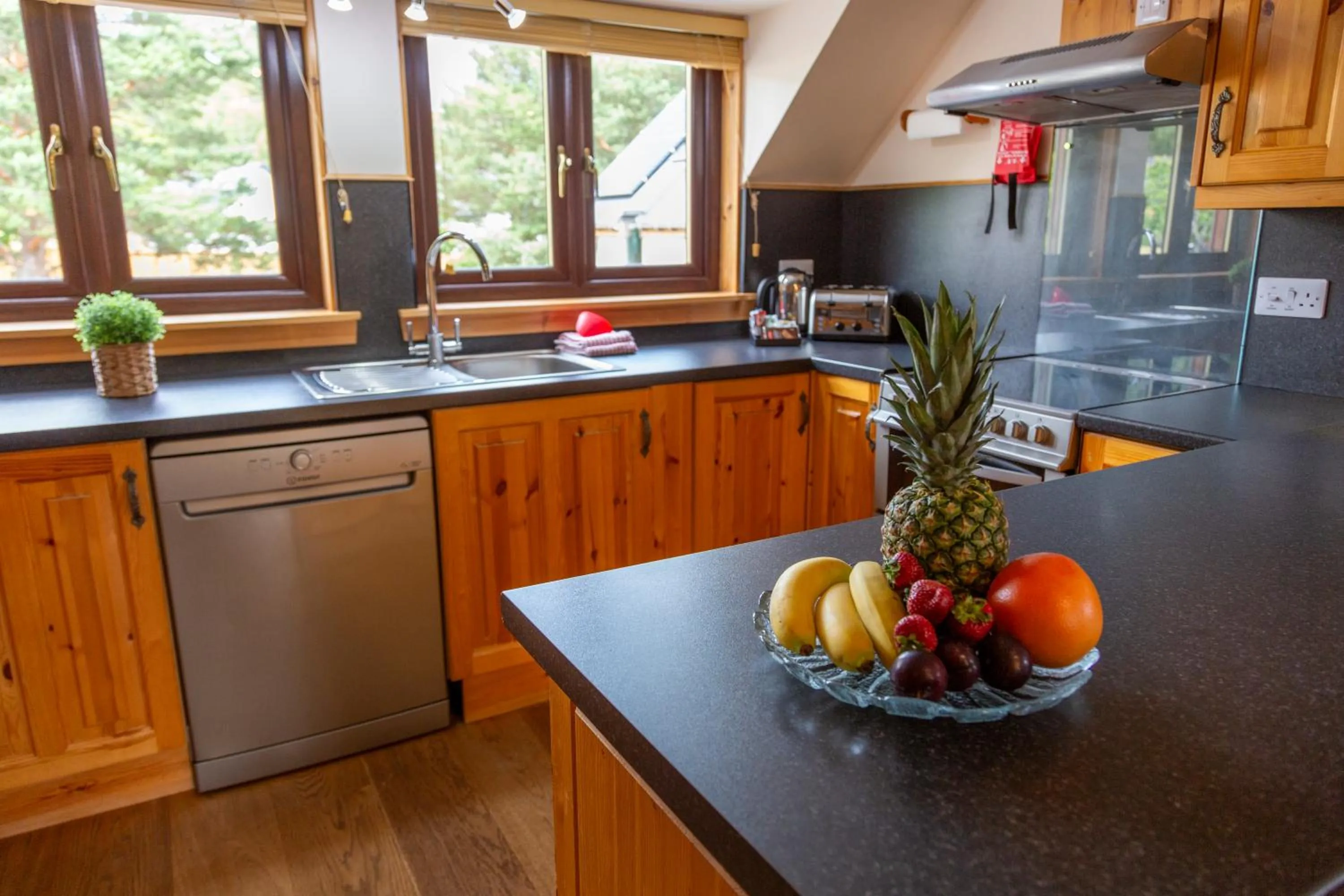 Kitchen or kitchenette in Scandinavian Village Ltd