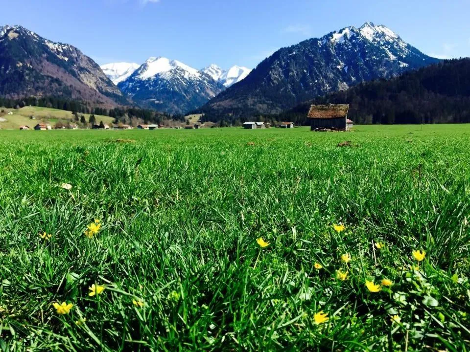 Day in Hotel Garni Regina